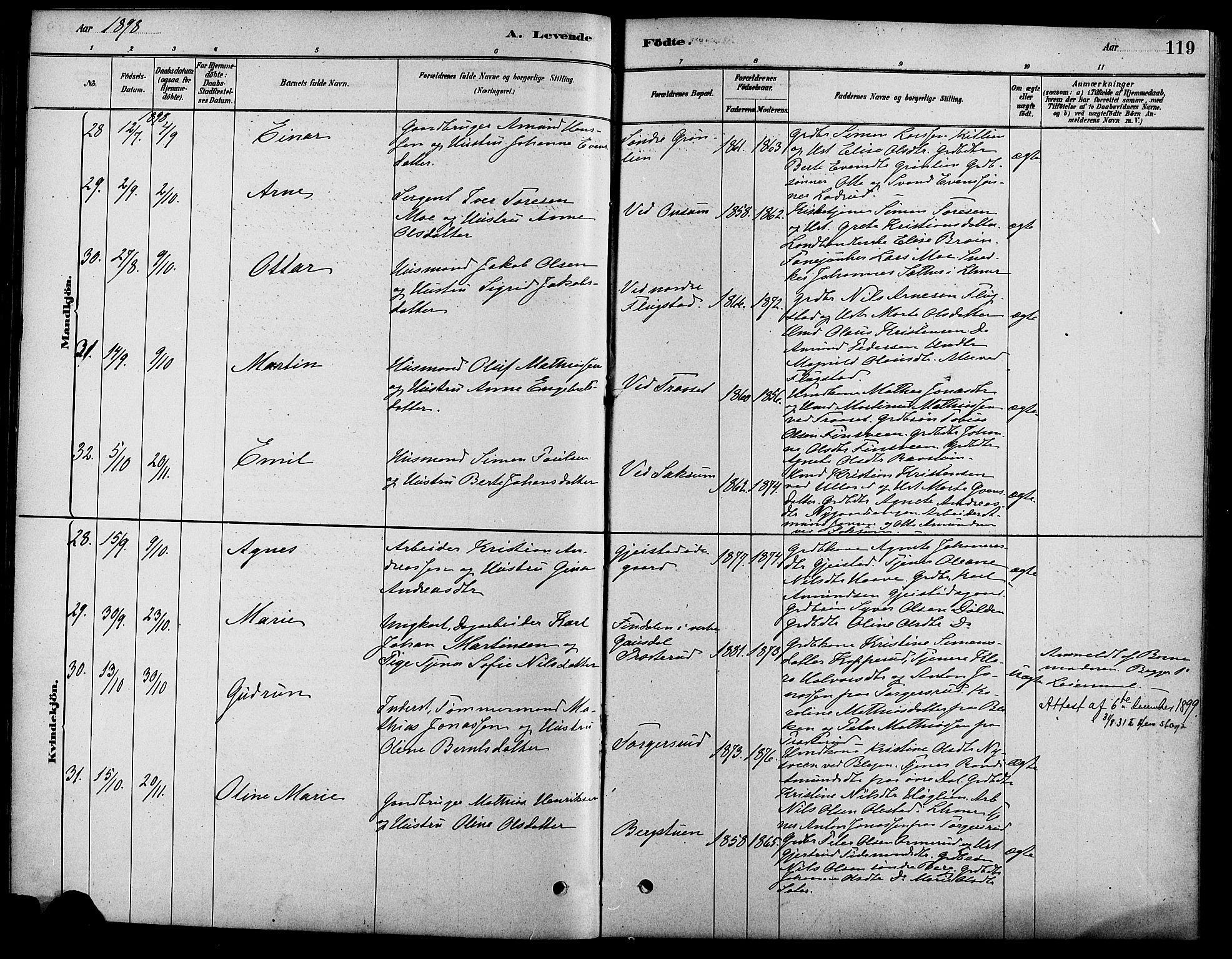 Fåberg prestekontor, AV/SAH-PREST-086/H/Ha/Haa/L0008: Parish register (official) no. 8, 1879-1898, p. 119