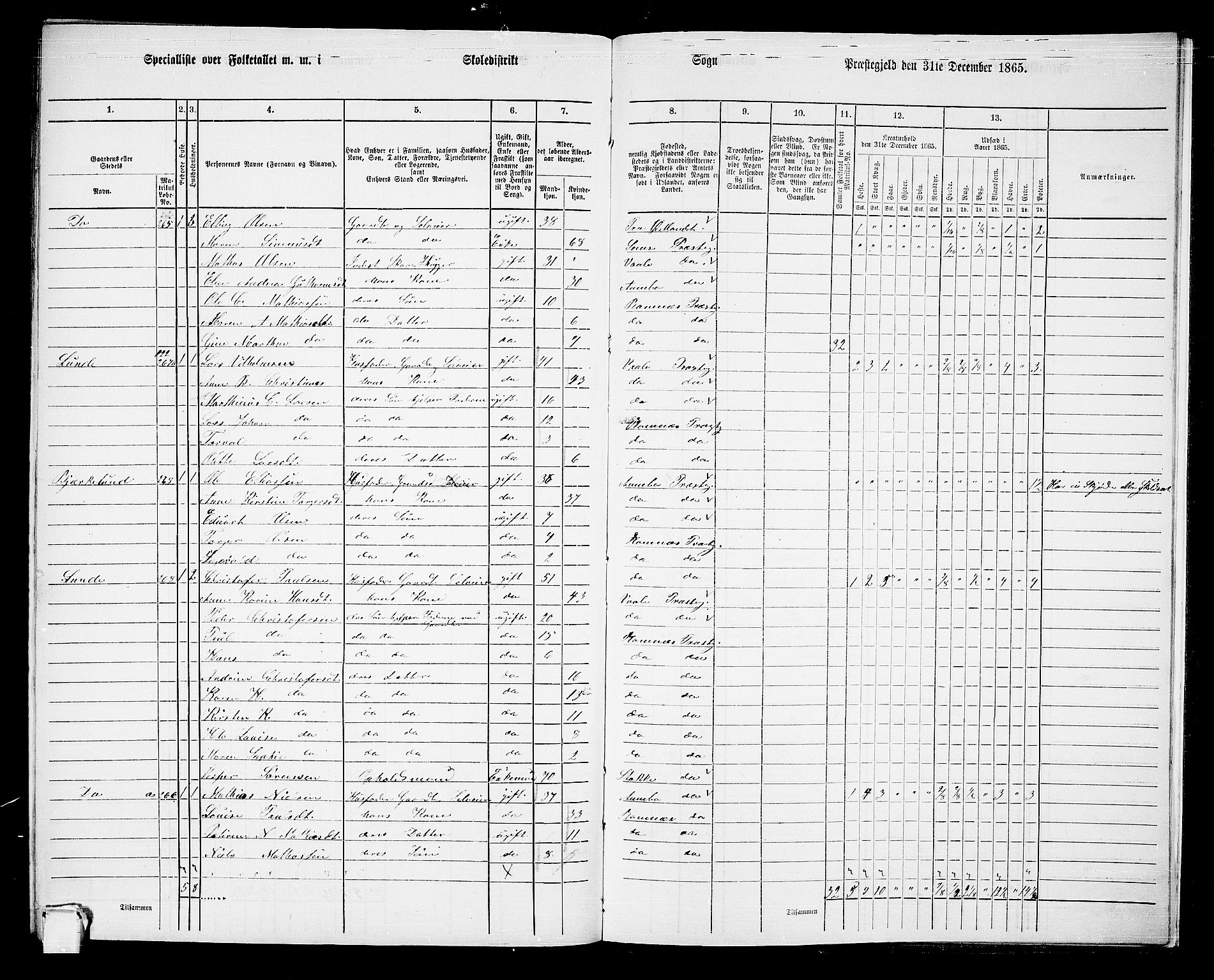 RA, 1865 census for Ramnes, 1865, p. 126