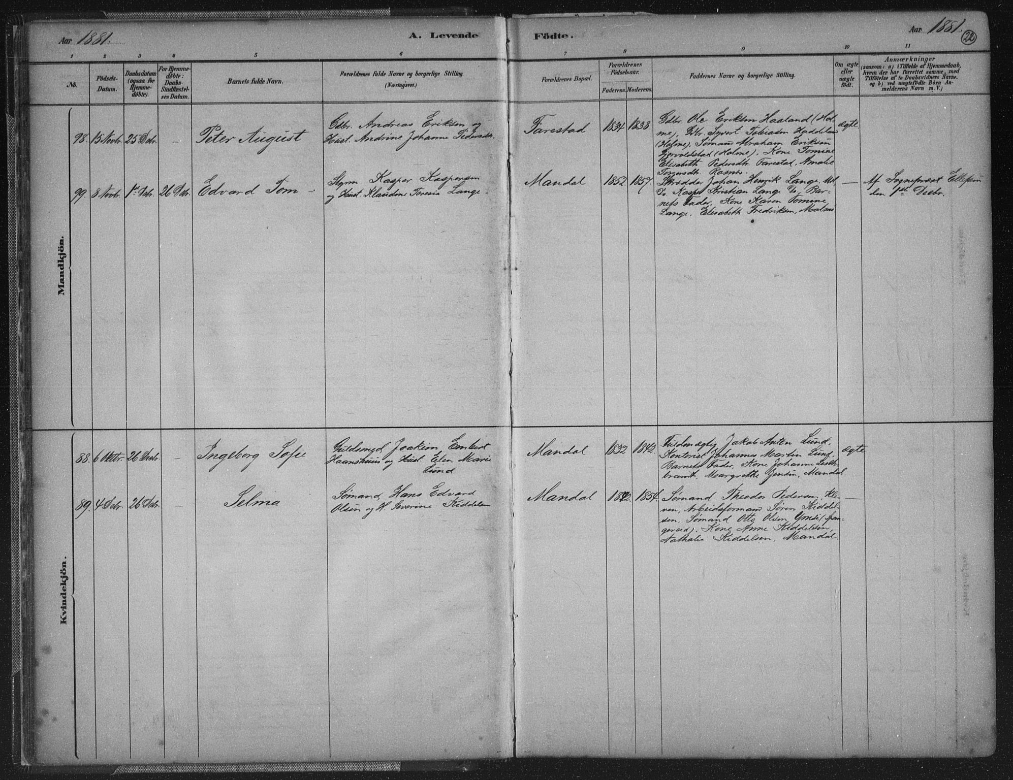 Mandal sokneprestkontor, AV/SAK-1111-0030/F/Fb/Fba/L0011: Parish register (copy) no. B 5, 1880-1898, p. 22