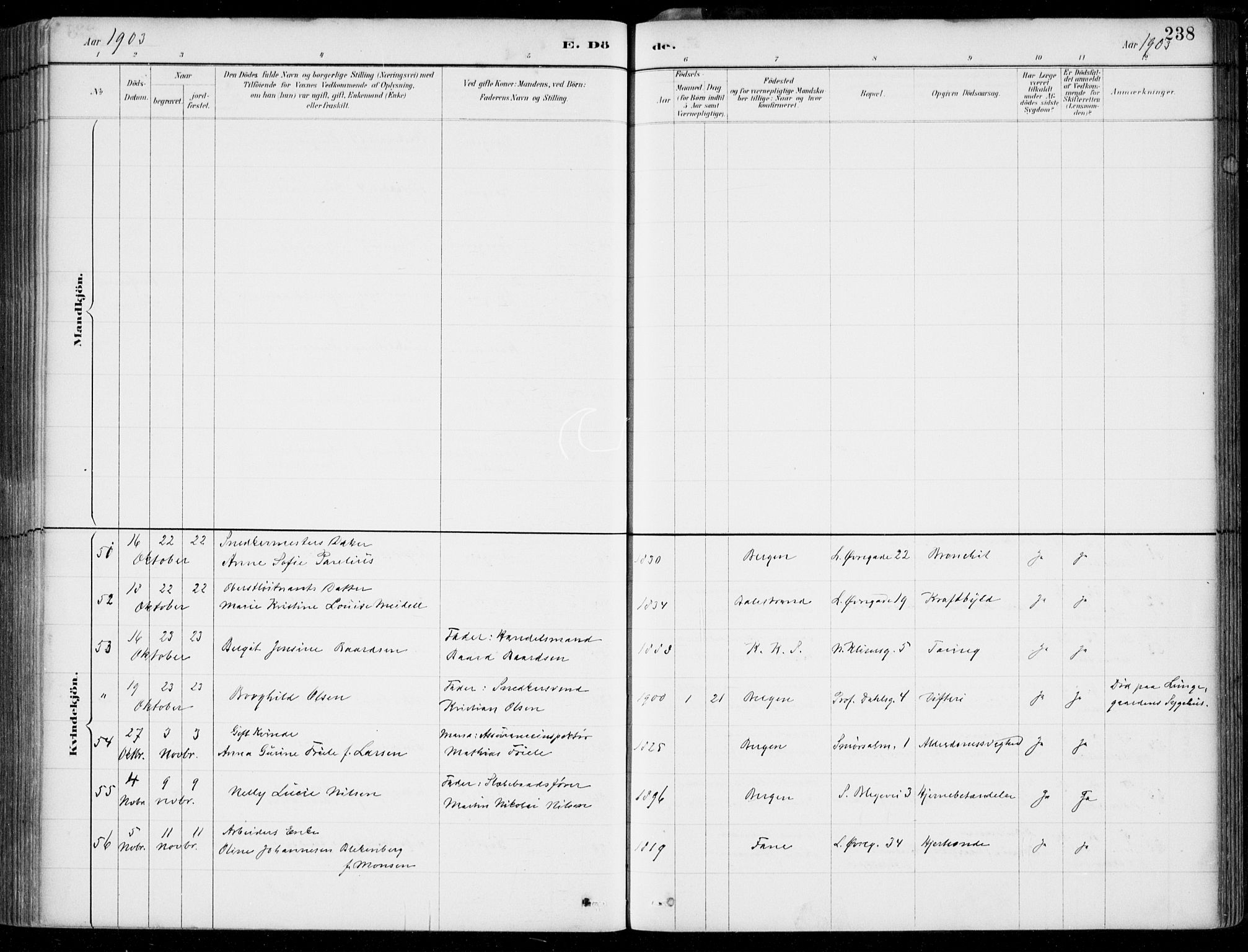 Korskirken sokneprestembete, AV/SAB-A-76101/H/Hab: Parish register (copy) no. E 4, 1884-1910, p. 238