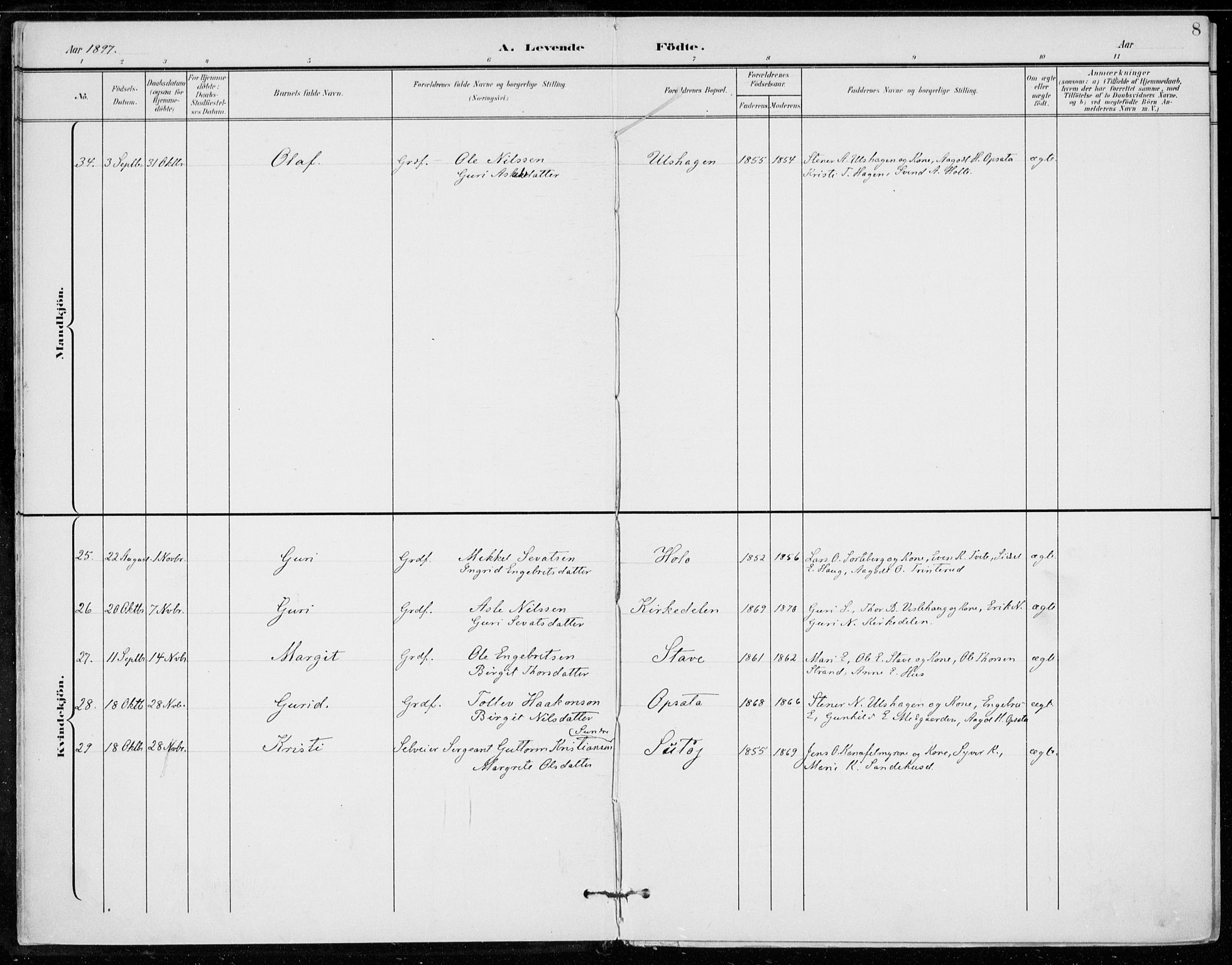 Ål kirkebøker, AV/SAKO-A-249/F/Fa/L0009: Parish register (official) no. I 9, 1897-1915, p. 8