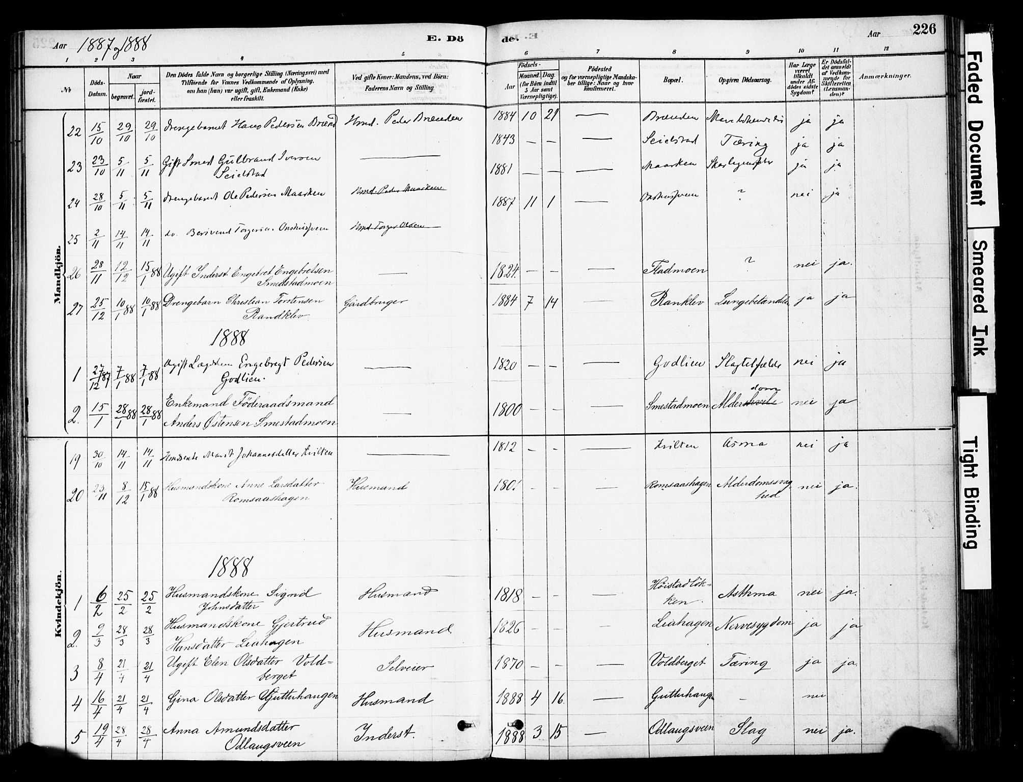 Ringebu prestekontor, SAH/PREST-082/H/Ha/Haa/L0008: Parish register (official) no. 8, 1878-1898, p. 226