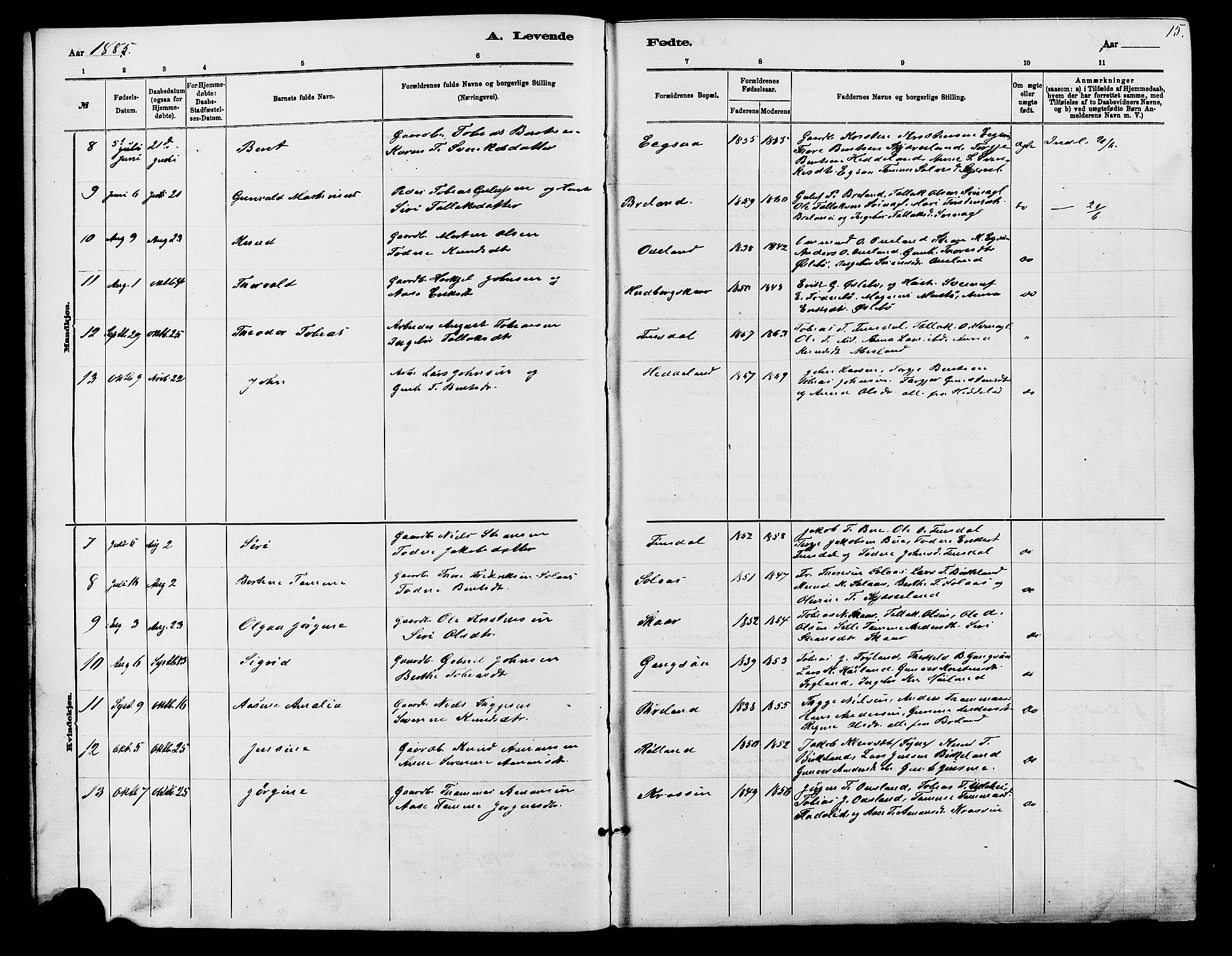 Holum sokneprestkontor, AV/SAK-1111-0022/F/Fb/Fbc/L0003: Parish register (copy) no. B 3, 1882-1908, p. 15