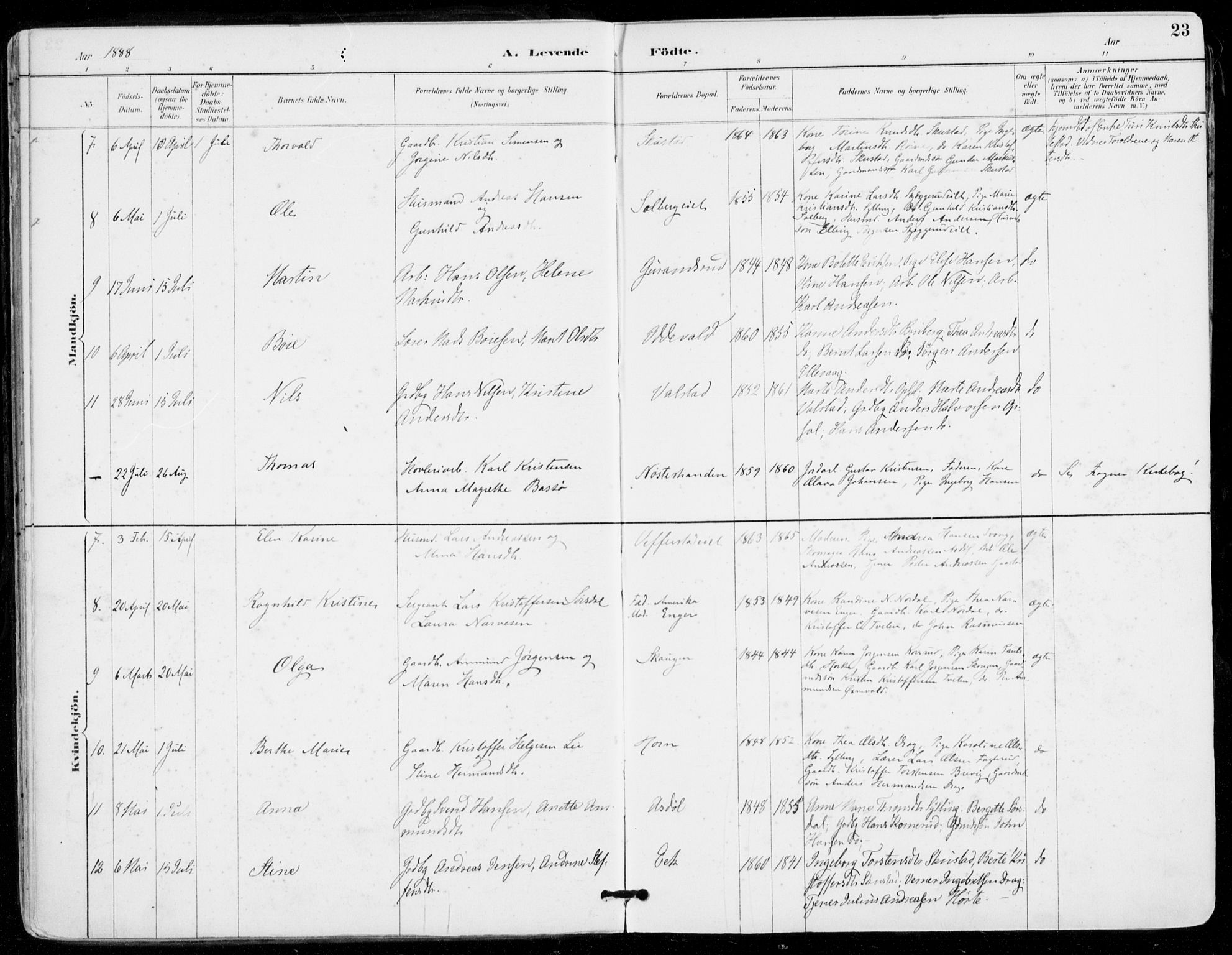 Sylling kirkebøker, AV/SAKO-A-247/F/Fa/L0001: Parish register (official) no. 1, 1883-1910, p. 23