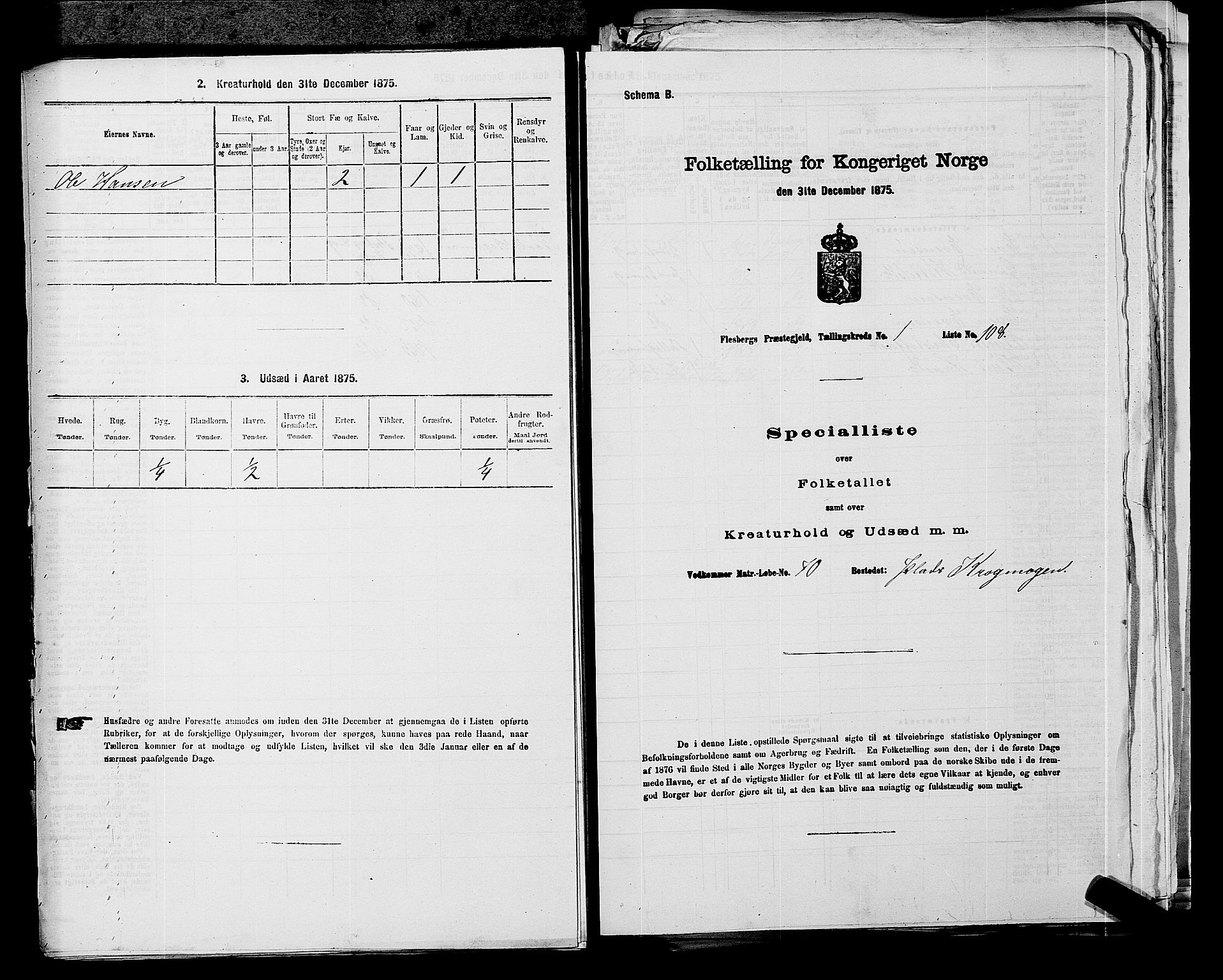 SAKO, 1875 census for 0631P Flesberg, 1875, p. 275