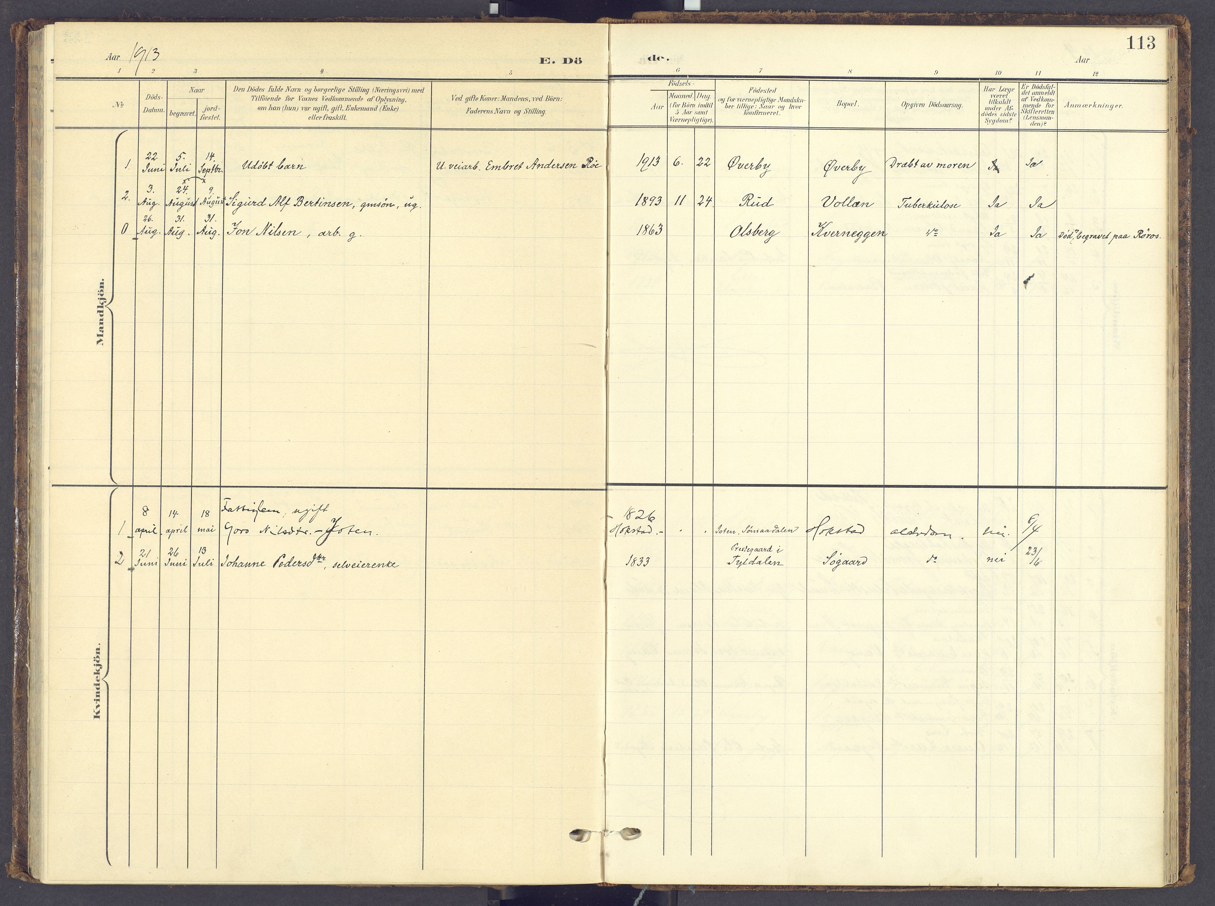 Tynset prestekontor, SAH/PREST-058/H/Ha/Haa/L0028: Parish register (official) no. 28, 1902-1929, p. 113