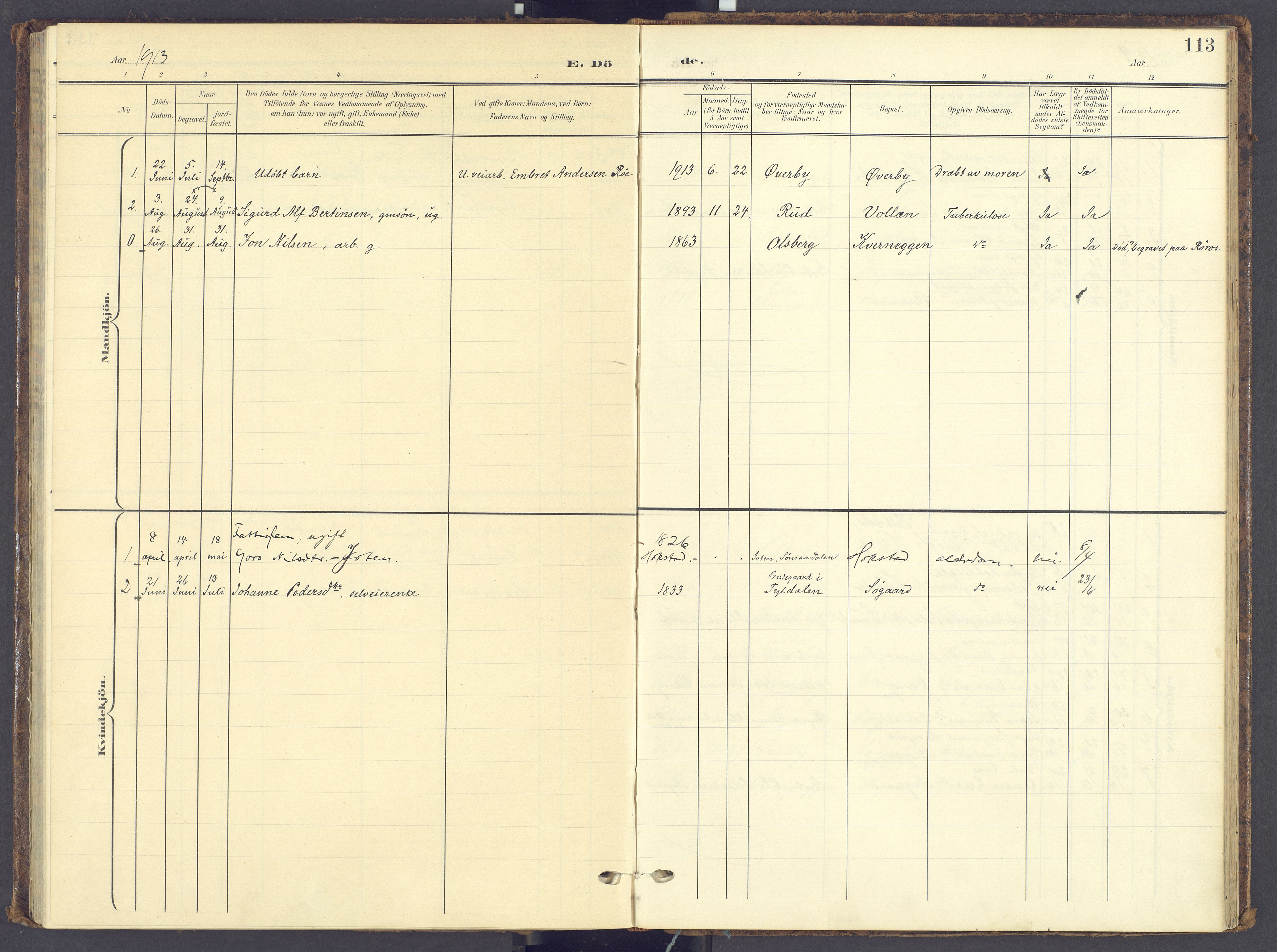 Tynset prestekontor, AV/SAH-PREST-058/H/Ha/Haa/L0028: Parish register (official) no. 28, 1902-1929, p. 113