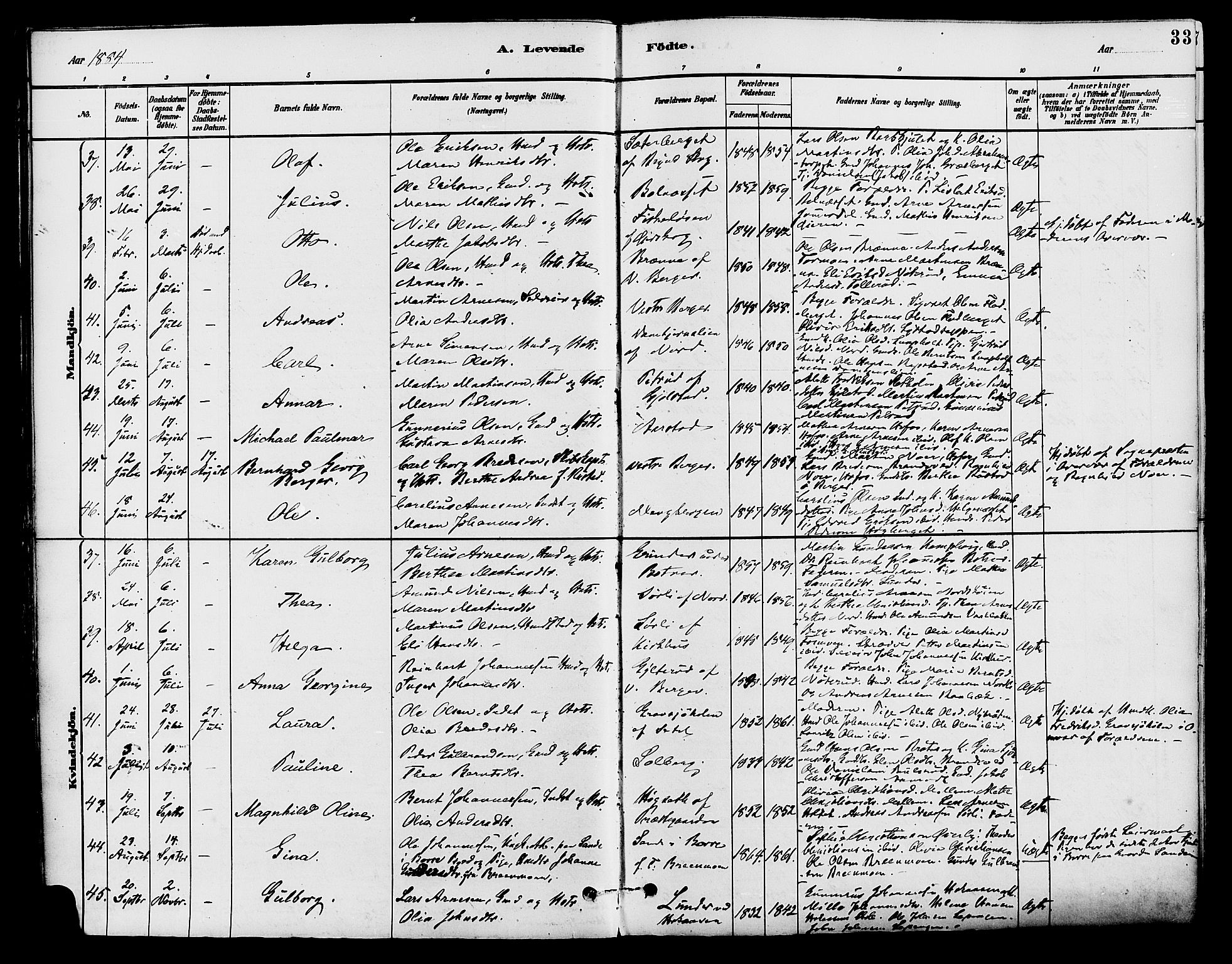 Brandval prestekontor, AV/SAH-PREST-034/H/Ha/Haa/L0002: Parish register (official) no. 2, 1880-1894, p. 33