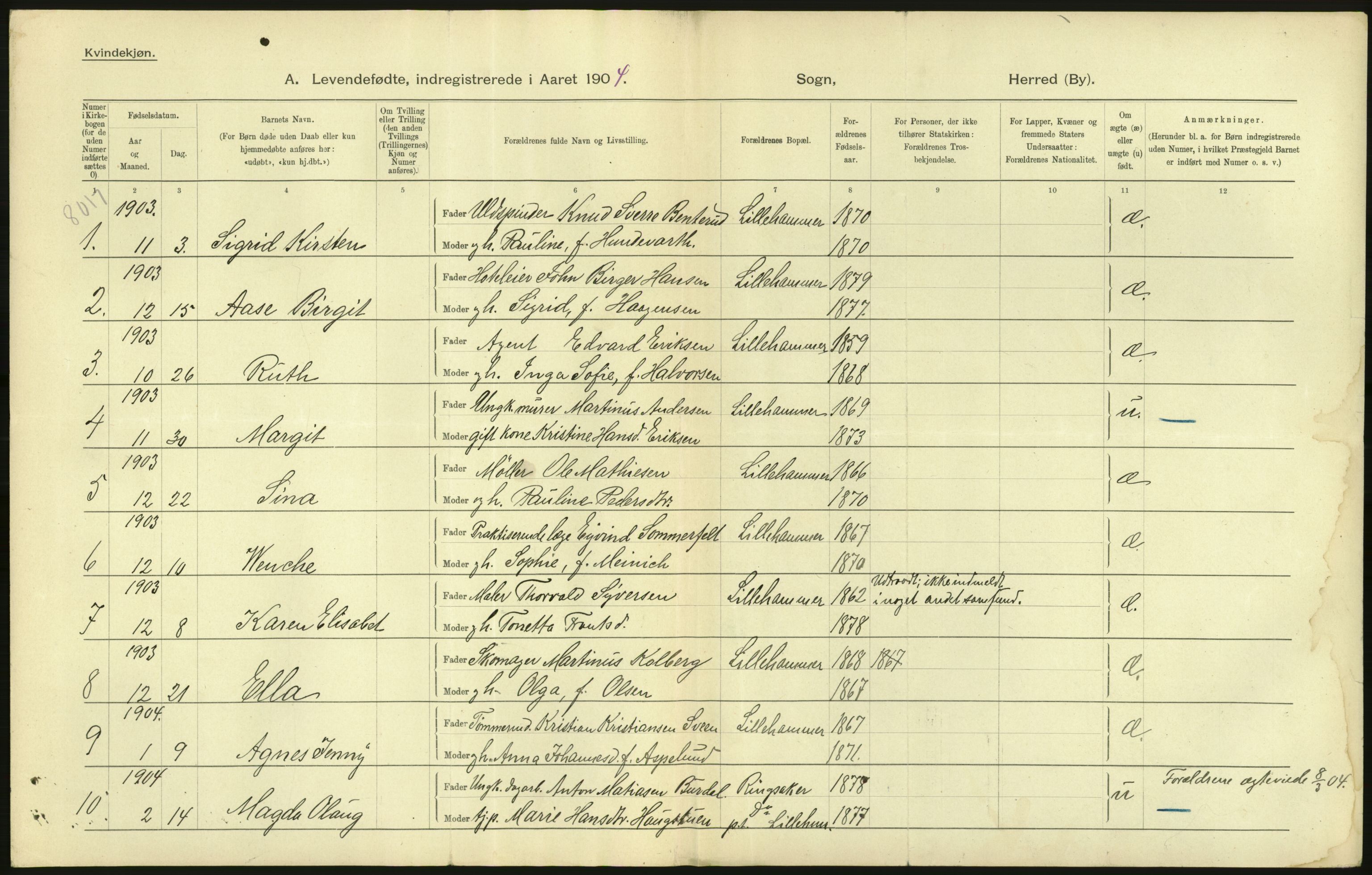 Statistisk sentralbyrå, Sosiodemografiske emner, Befolkning, AV/RA-S-2228/D/Df/Dfa/Dfab/L0006: Kristians amt: Fødte, gifte, døde, 1904, p. 862