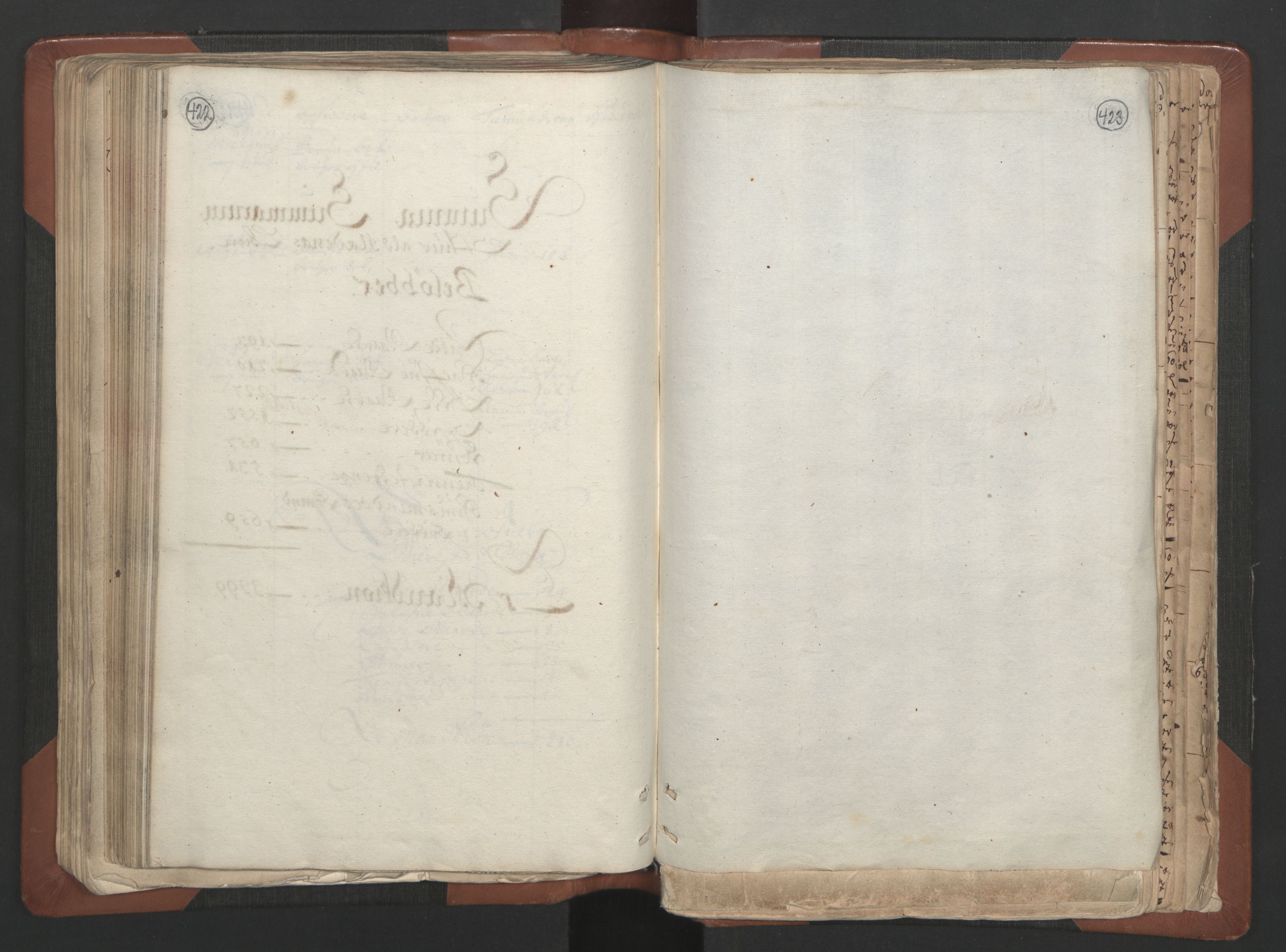 RA, Bailiff's Census 1664-1666, no. 7: Nedenes fogderi, 1664-1666, p. 422-423