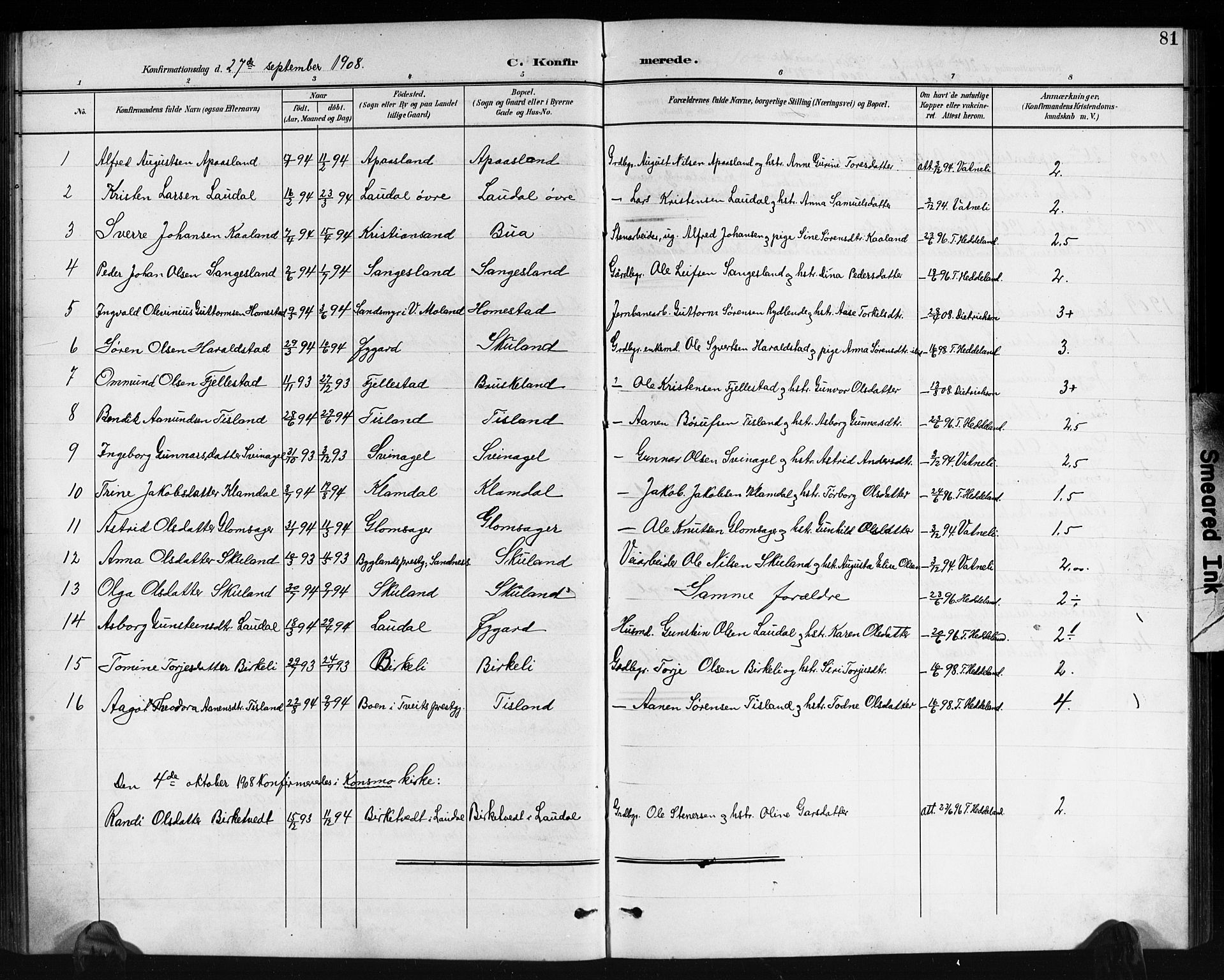 Holum sokneprestkontor, AV/SAK-1111-0022/F/Fb/Fbb/L0004: Parish register (copy) no. B 4, 1899-1920, p. 81