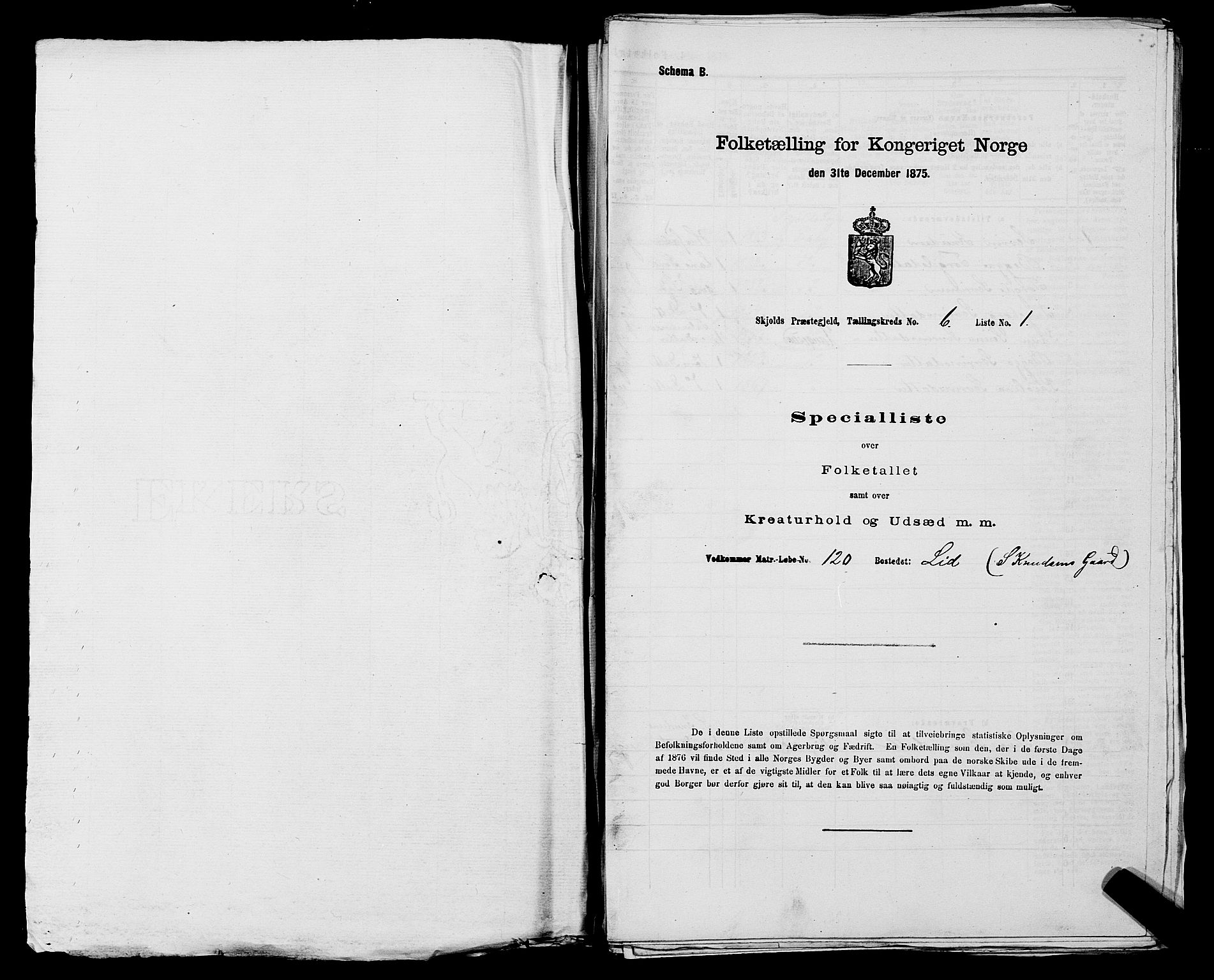 SAST, 1875 census for 1154P Skjold, 1875, p. 520