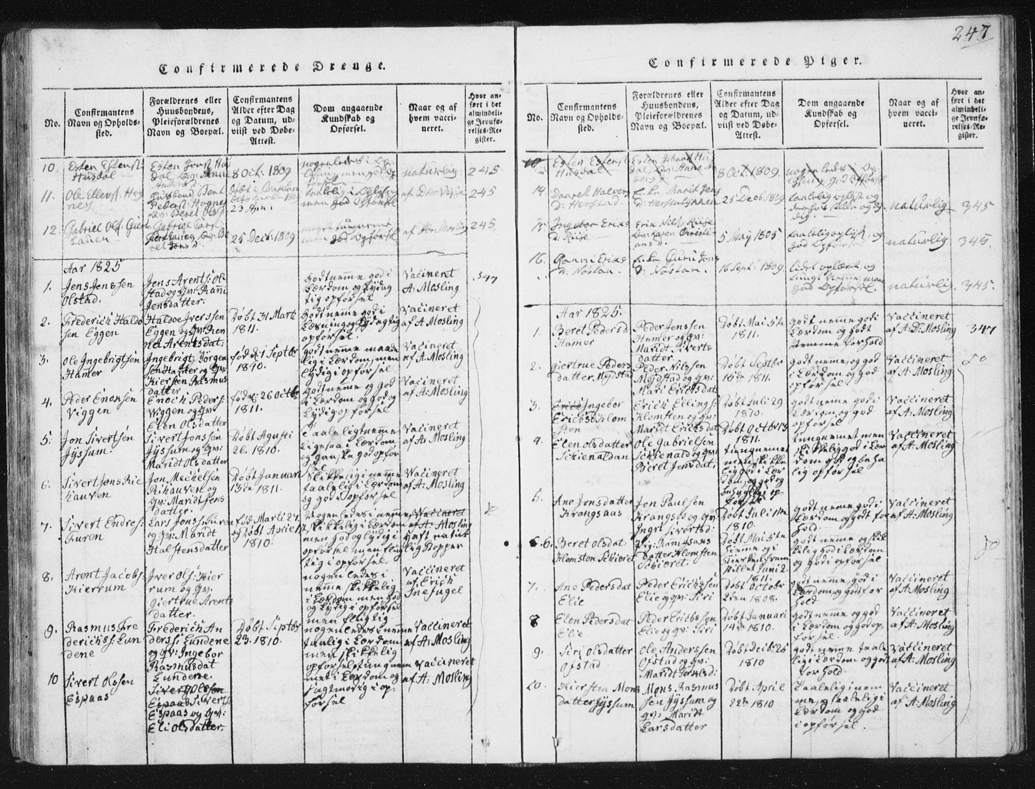 Ministerialprotokoller, klokkerbøker og fødselsregistre - Sør-Trøndelag, SAT/A-1456/665/L0770: Parish register (official) no. 665A05, 1817-1829, p. 247