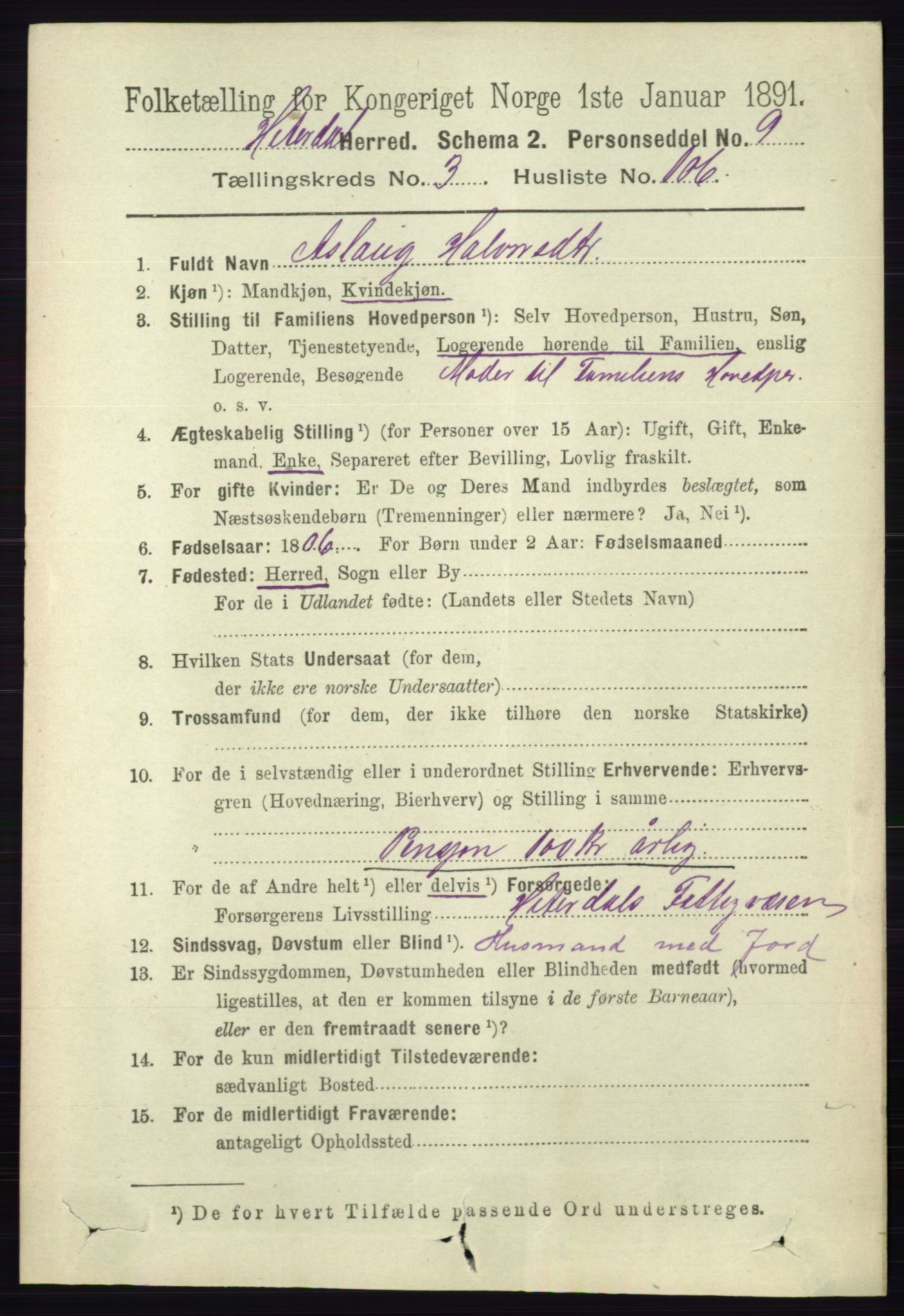 RA, 1891 census for 0823 Heddal, 1891, p. 1629