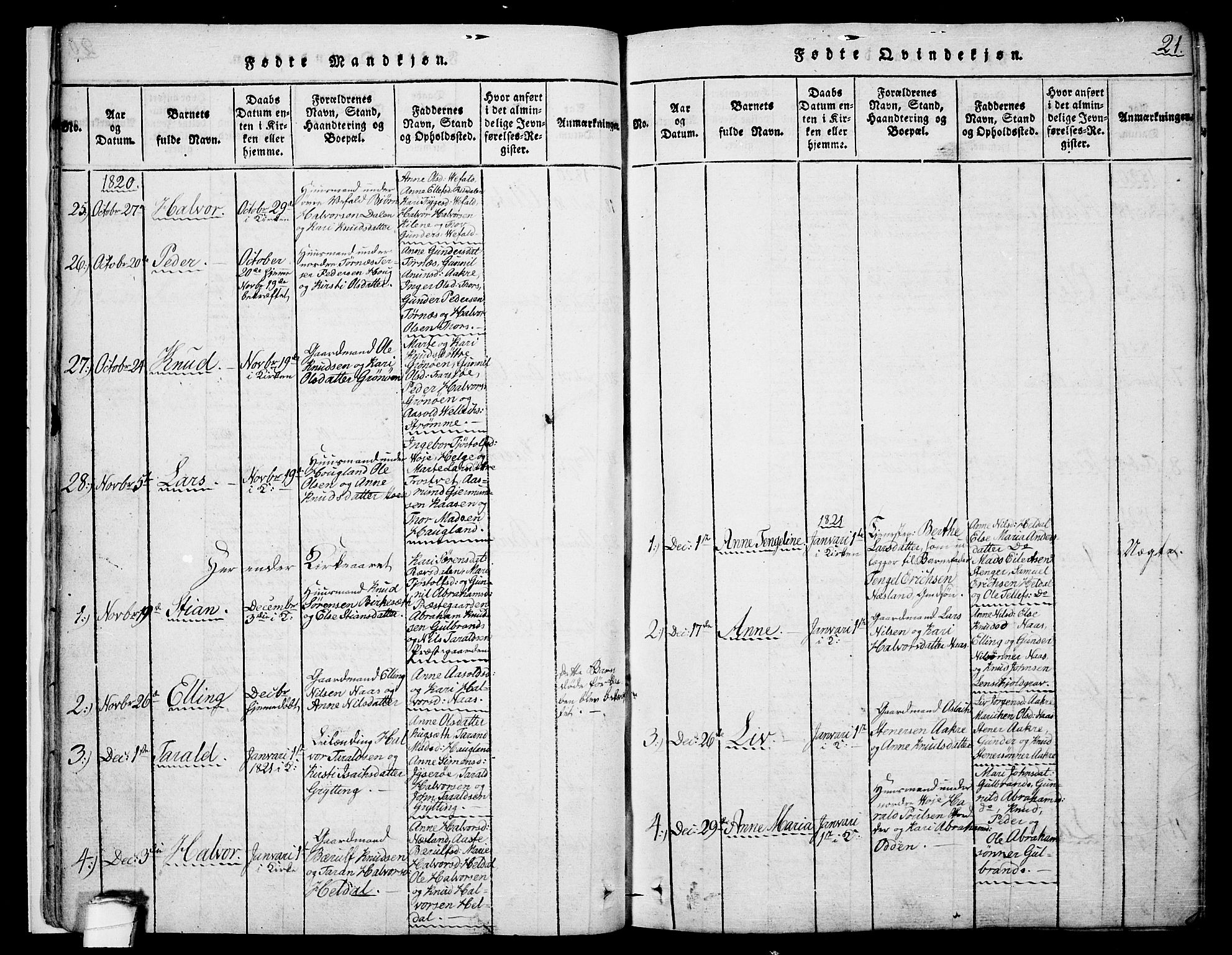 Drangedal kirkebøker, SAKO/A-258/F/Fa/L0005: Parish register (official) no. 5 /1, 1814-1831, p. 21