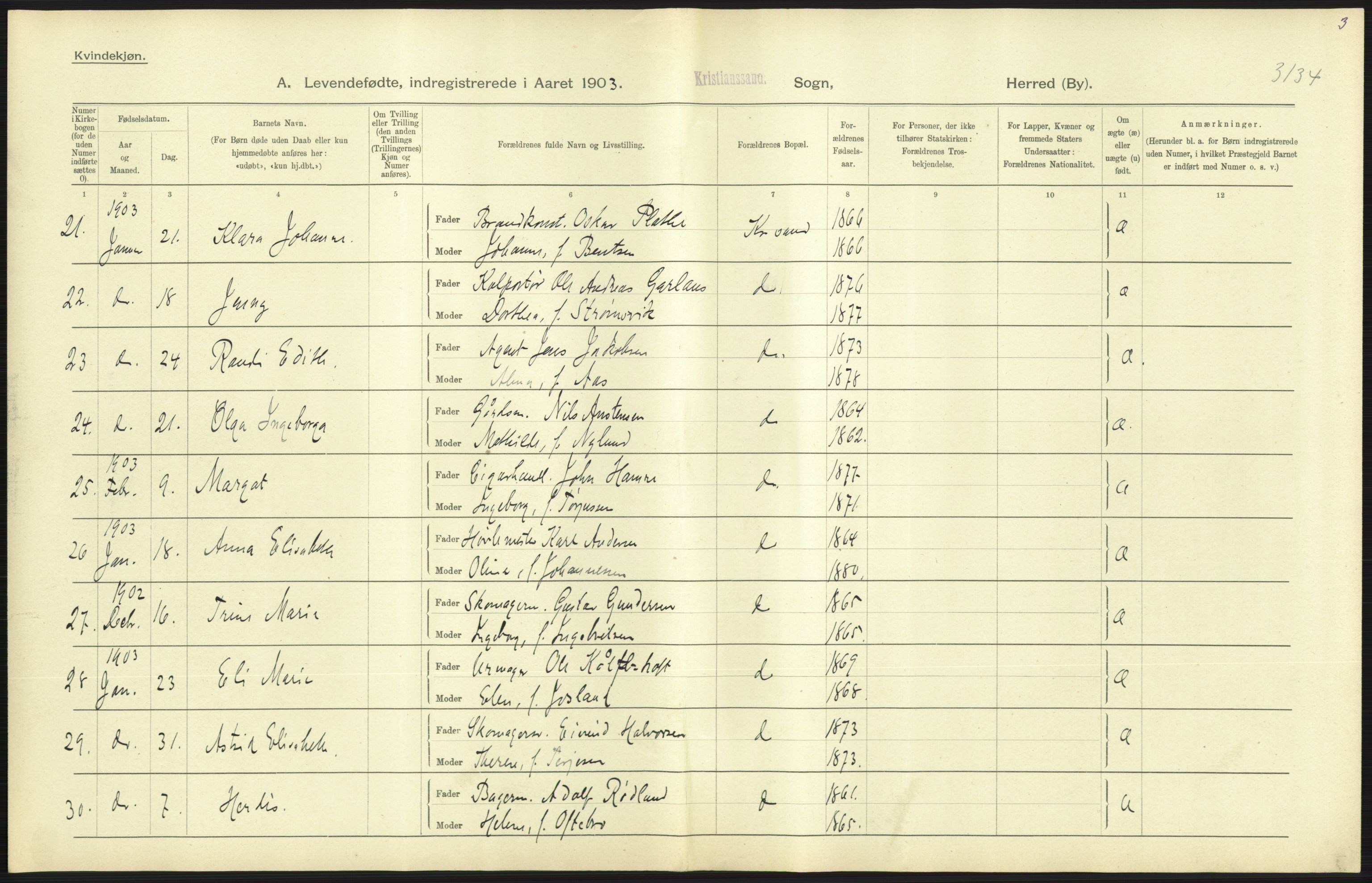 Statistisk sentralbyrå, Sosiodemografiske emner, Befolkning, AV/RA-S-2228/D/Df/Dfa/Dfaa/L0011: Lister og Mandal amt: Fødte, gifte, døde, 1903, p. 267