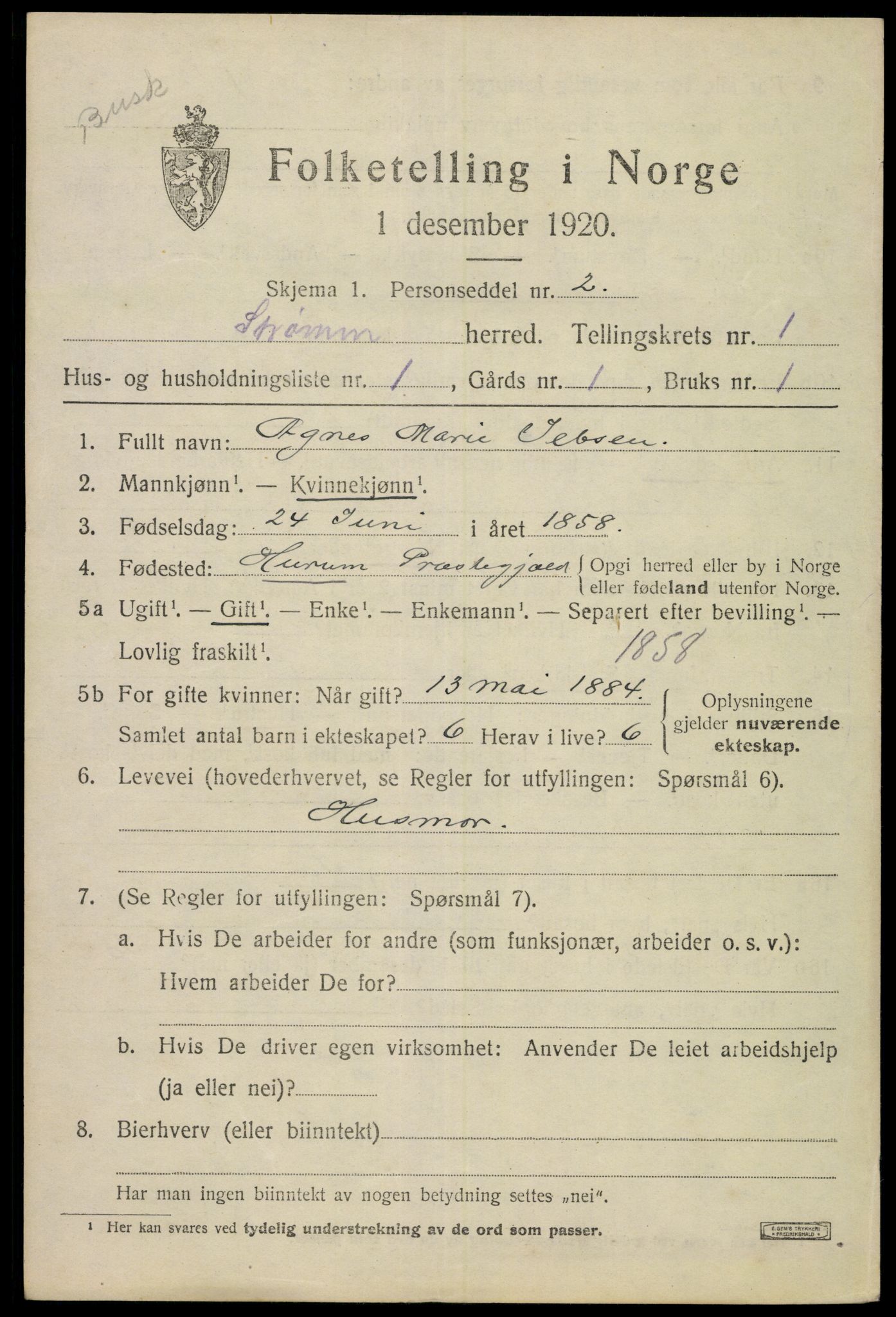 SAKO, 1920 census for Strømm, 1920, p. 571