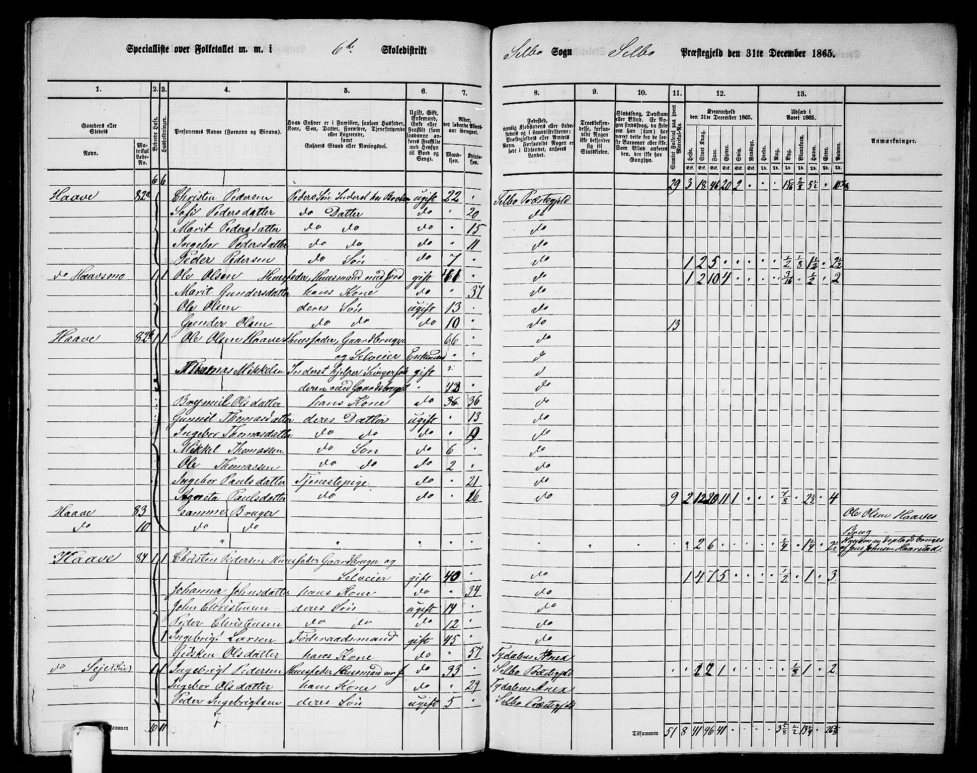 RA, 1865 census for Selbu, 1865, p. 105