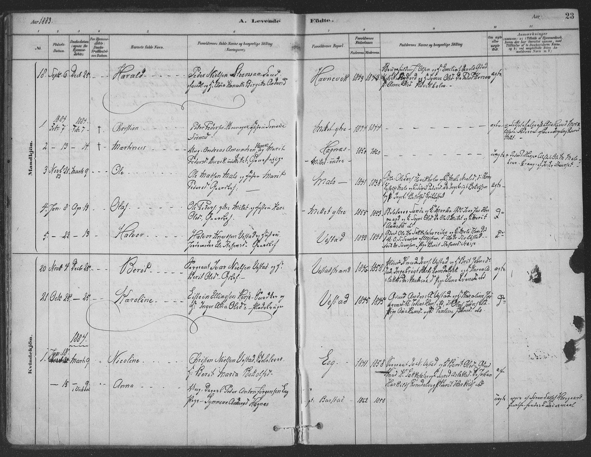 Ministerialprotokoller, klokkerbøker og fødselsregistre - Møre og Romsdal, SAT/A-1454/547/L0604: Parish register (official) no. 547A06, 1878-1906, p. 23