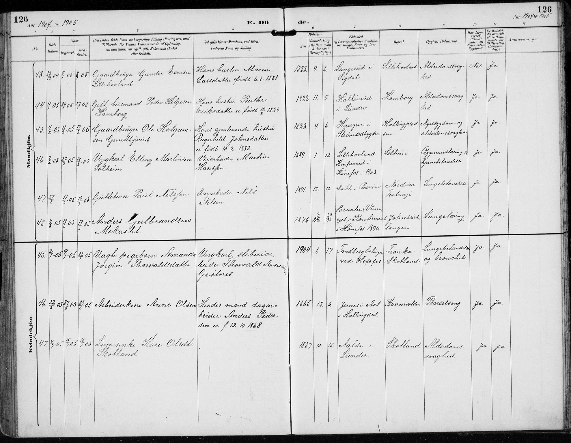 Lunder kirkebøker, AV/SAKO-A-629/F/Fb/L0001: Parish register (official) no. II 1, 1893-1916, p. 126