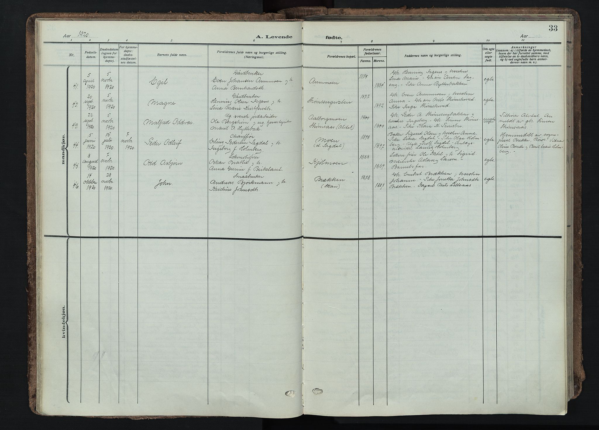 Tynset prestekontor, SAH/PREST-058/H/Ha/Haa/L0026: Parish register (official) no. 26, 1915-1929, p. 33