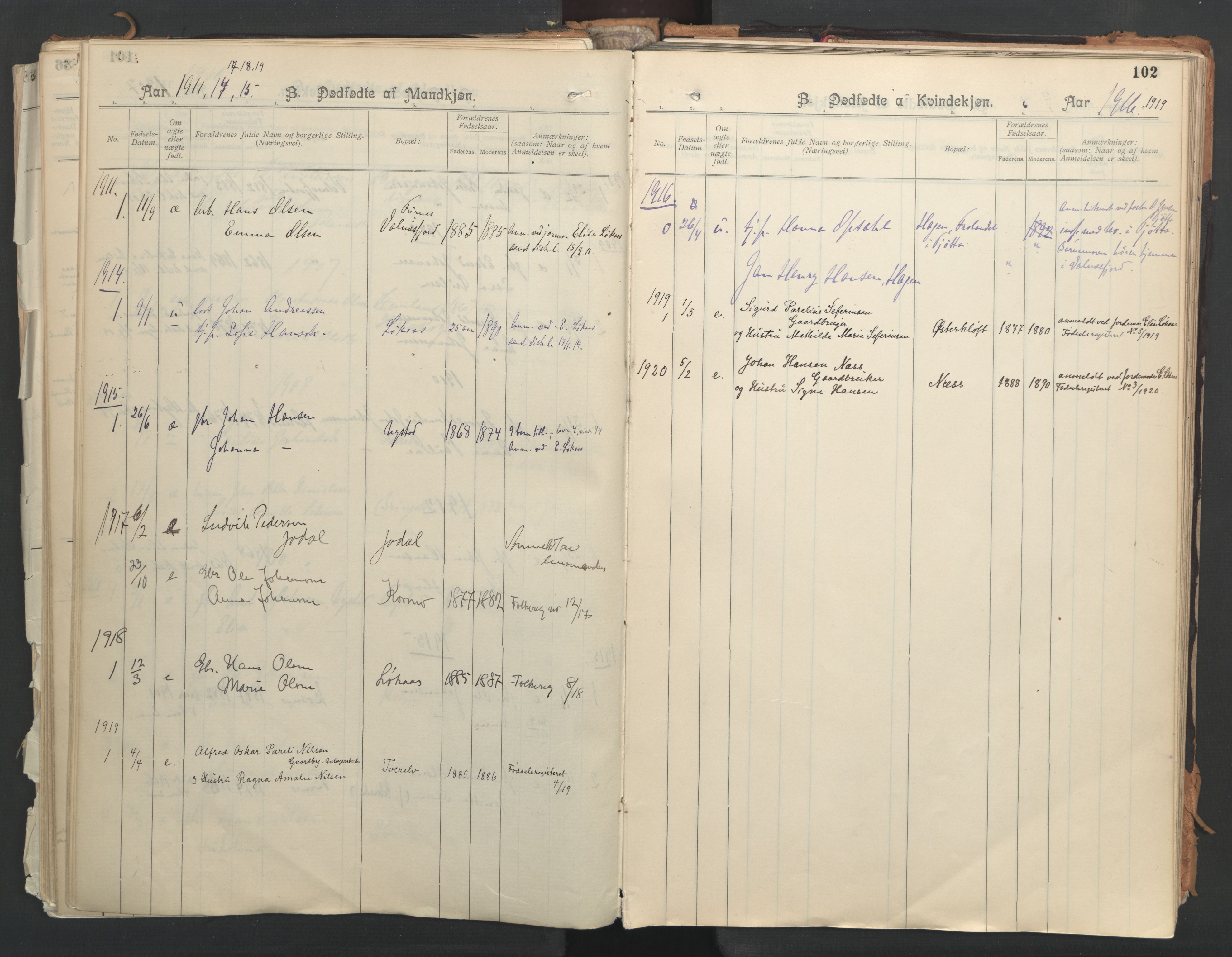 Ministerialprotokoller, klokkerbøker og fødselsregistre - Nordland, AV/SAT-A-1459/851/L0724: Parish register (official) no. 851A01, 1901-1922, p. 102