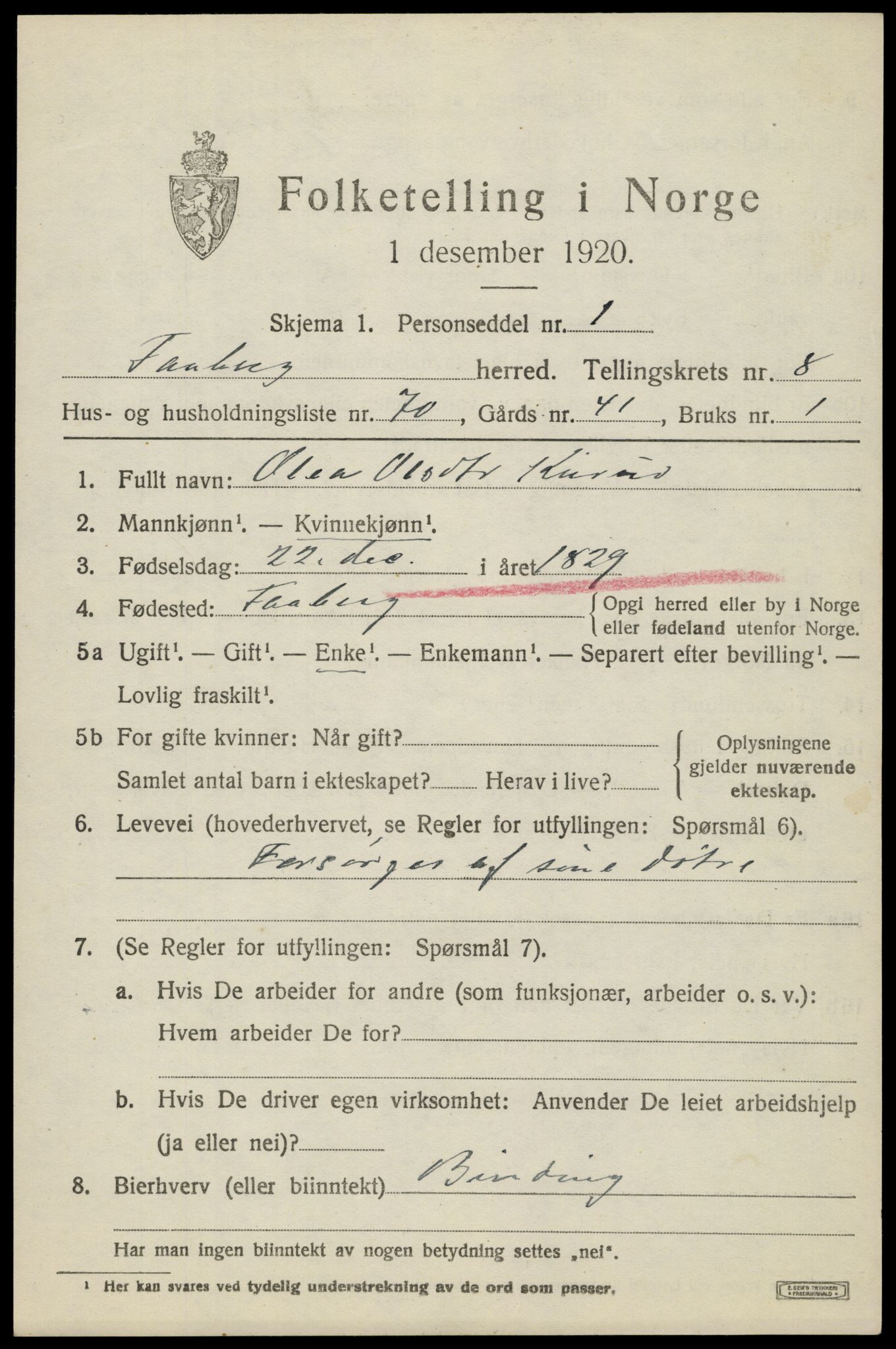 SAH, 1920 census for Fåberg, 1920, p. 10034