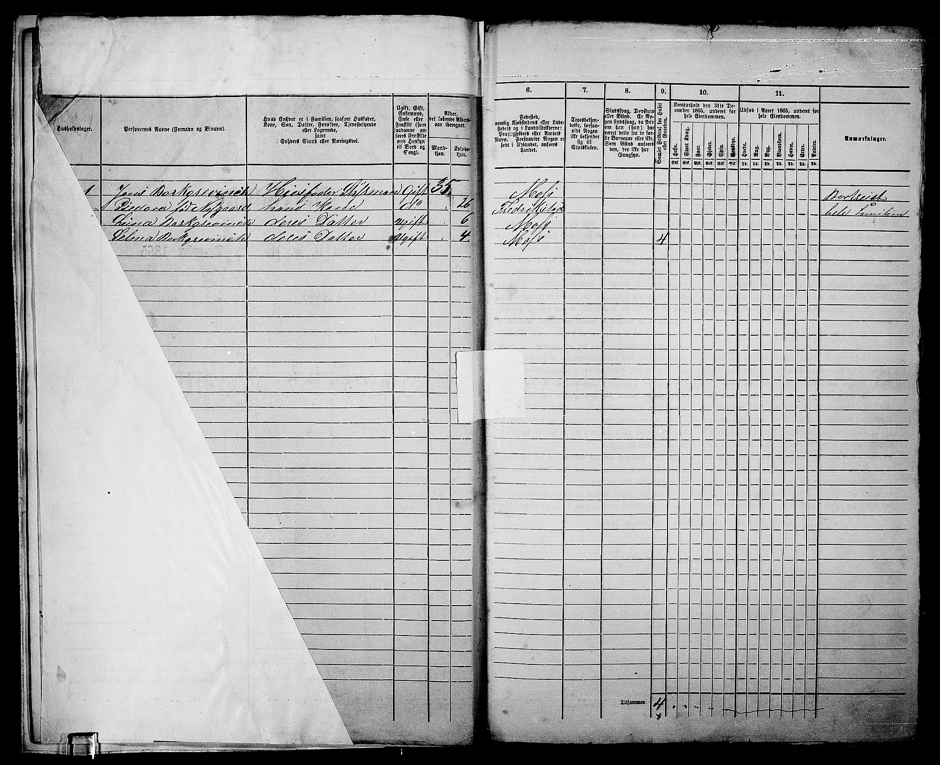 RA, 1865 census for Moss/Moss, 1865, p. 11