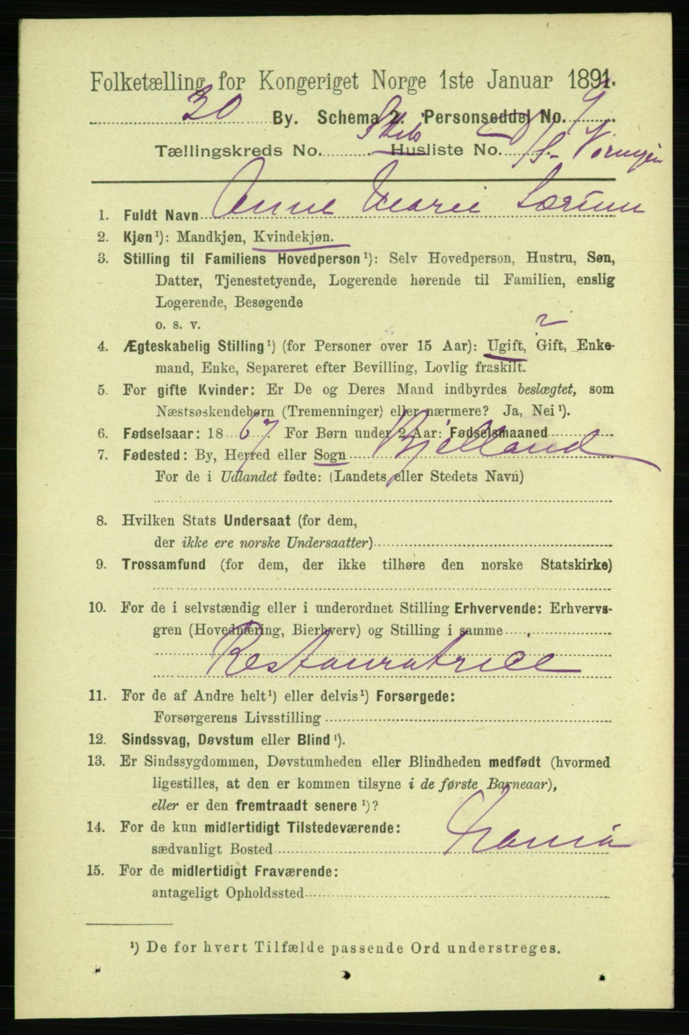 RA, 1891 census for 0806 Skien, 1891, p. 11505