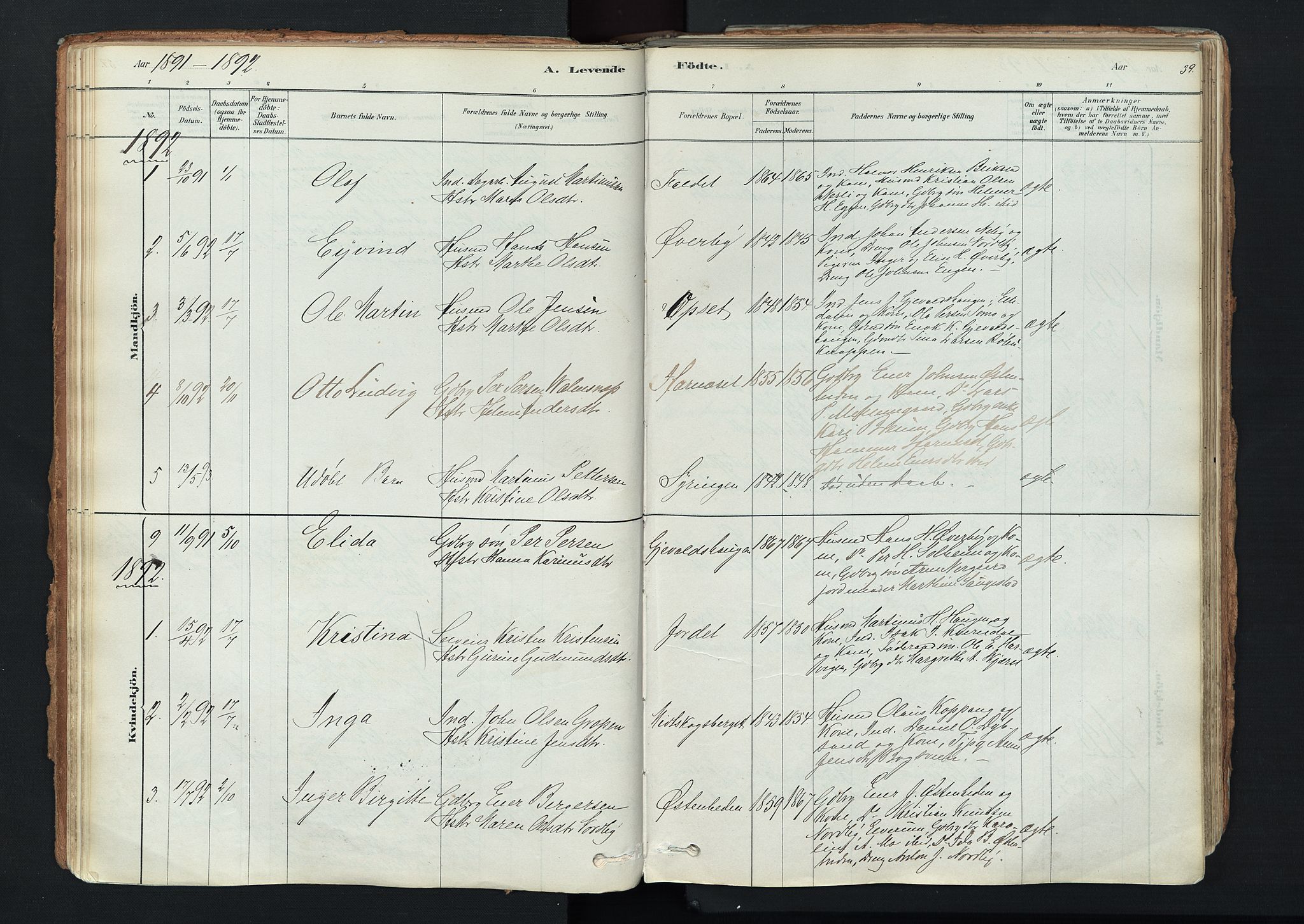 Trysil prestekontor, AV/SAH-PREST-046/H/Ha/Haa/L0011: Parish register (official) no. 11, 1878-1912, p. 39