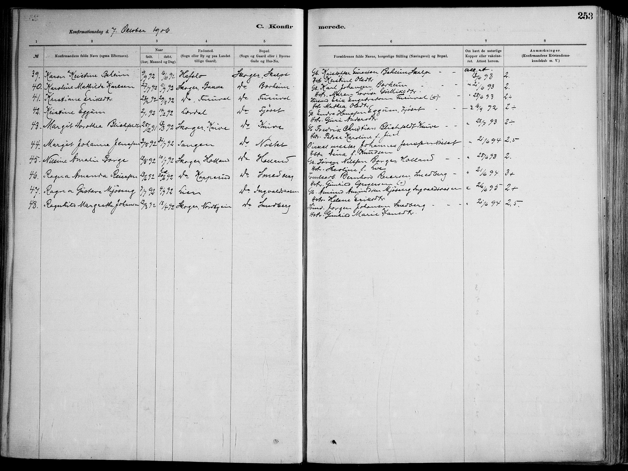 Skoger kirkebøker, AV/SAKO-A-59/F/Fa/L0006: Parish register (official) no. I 6, 1885-1910, p. 253