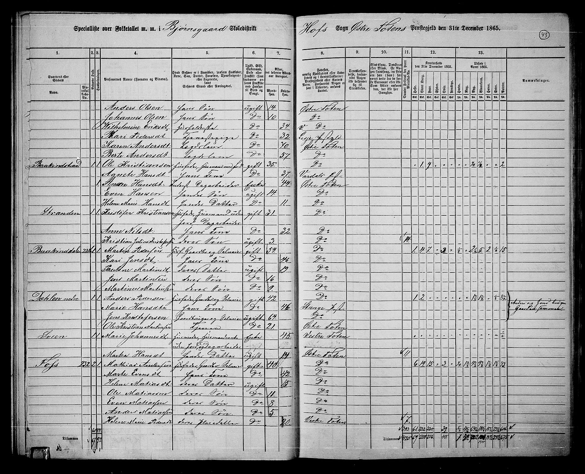 RA, 1865 census for Østre Toten, 1865, p. 172