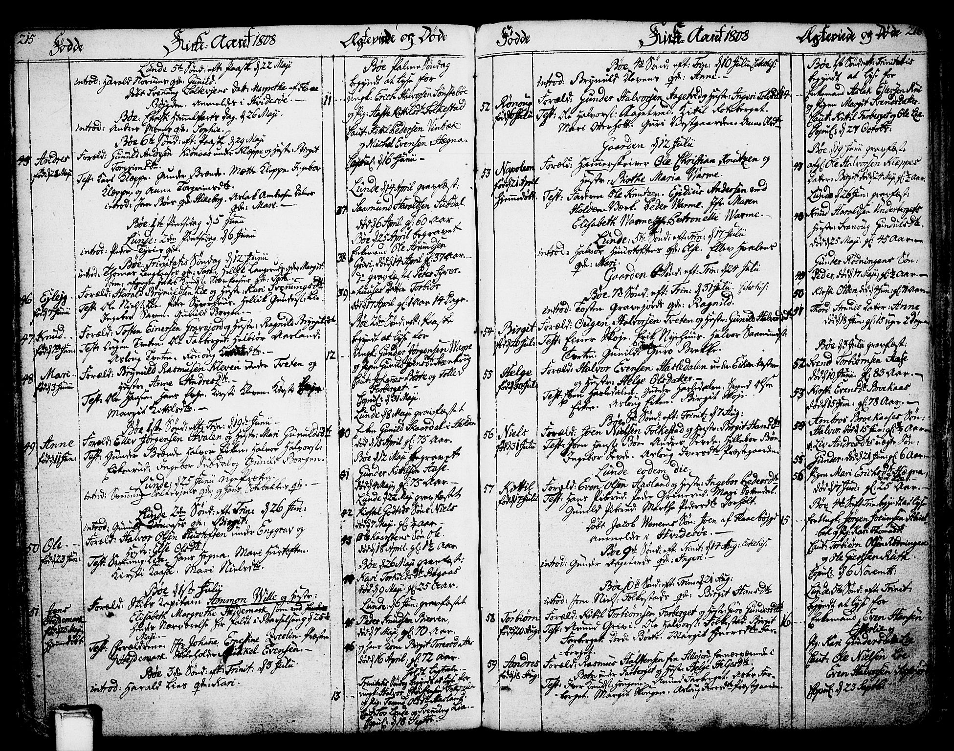 Bø kirkebøker, SAKO/A-257/F/Fa/L0005: Parish register (official) no. 5, 1785-1815, p. 215-216