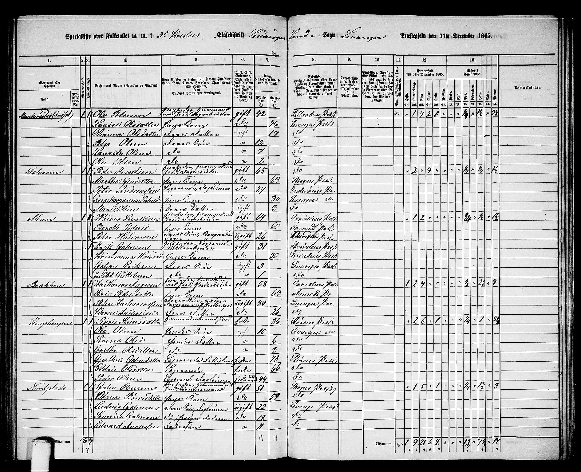 RA, 1865 census for Levanger/Levanger, 1865, p. 64