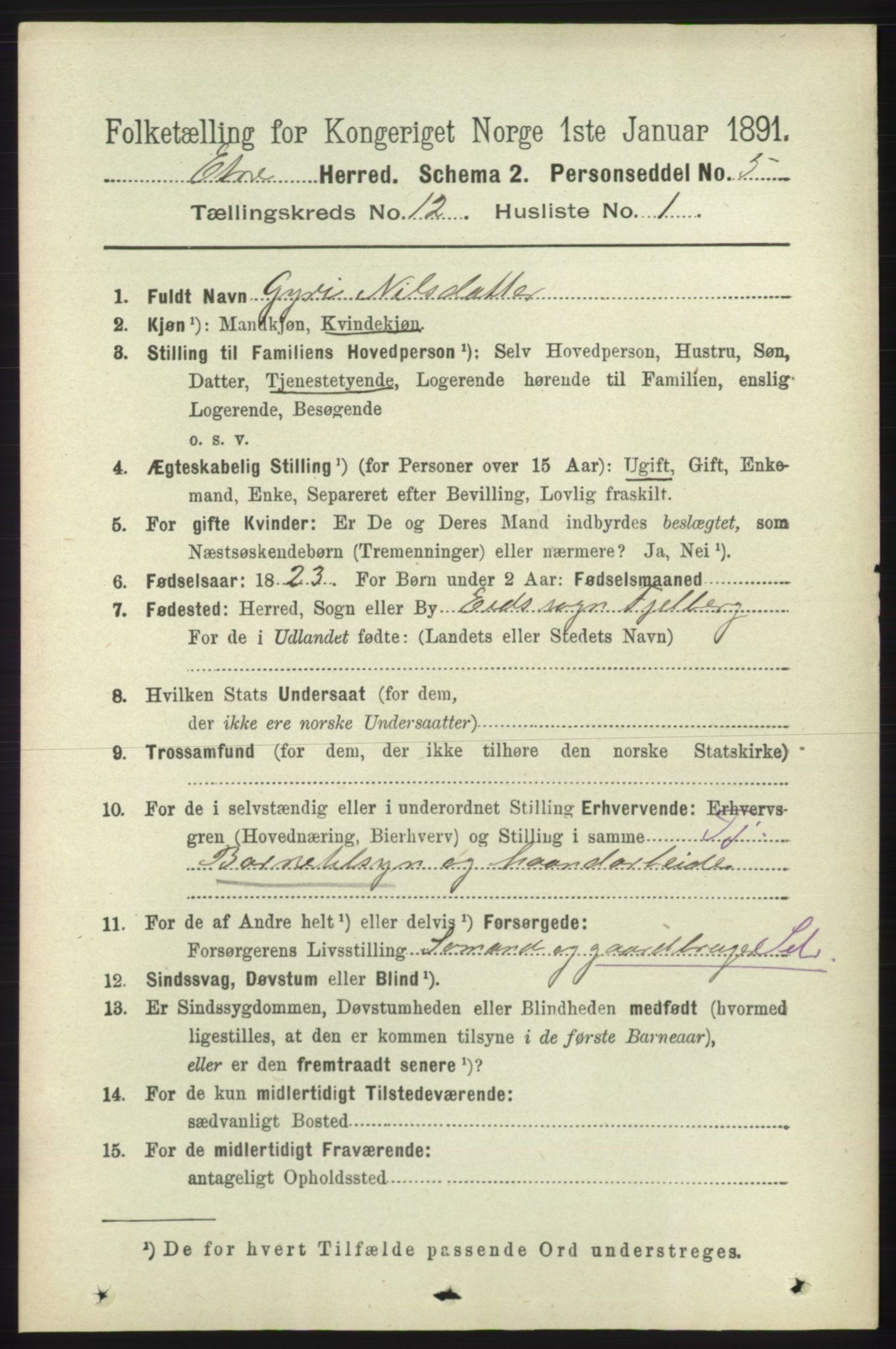 RA, 1891 census for 1211 Etne, 1891, p. 2559