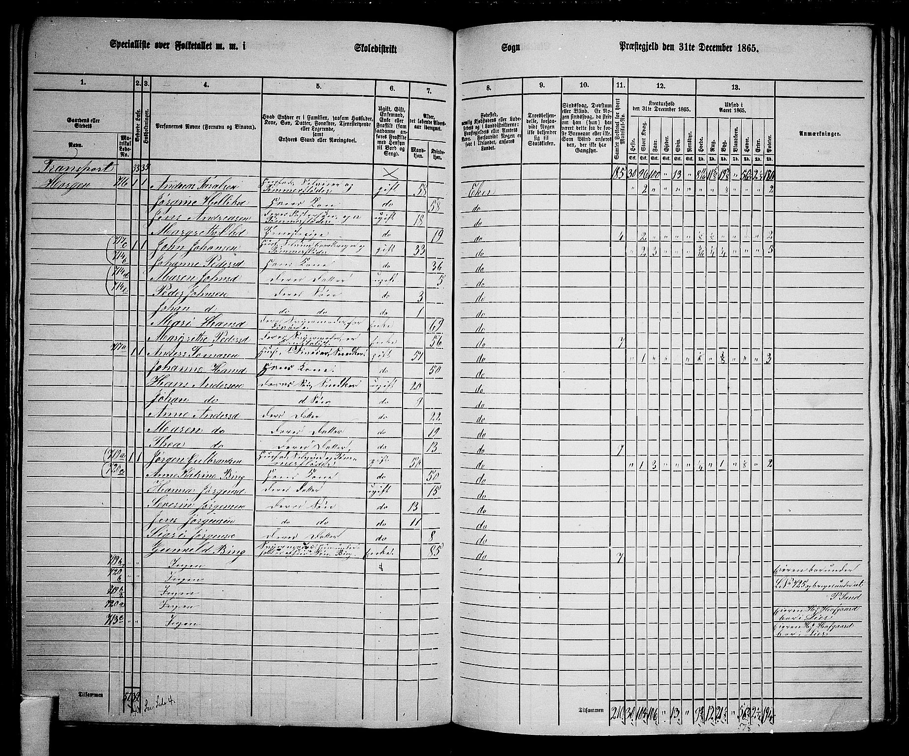 RA, 1865 census for Eiker, 1865, p. 159