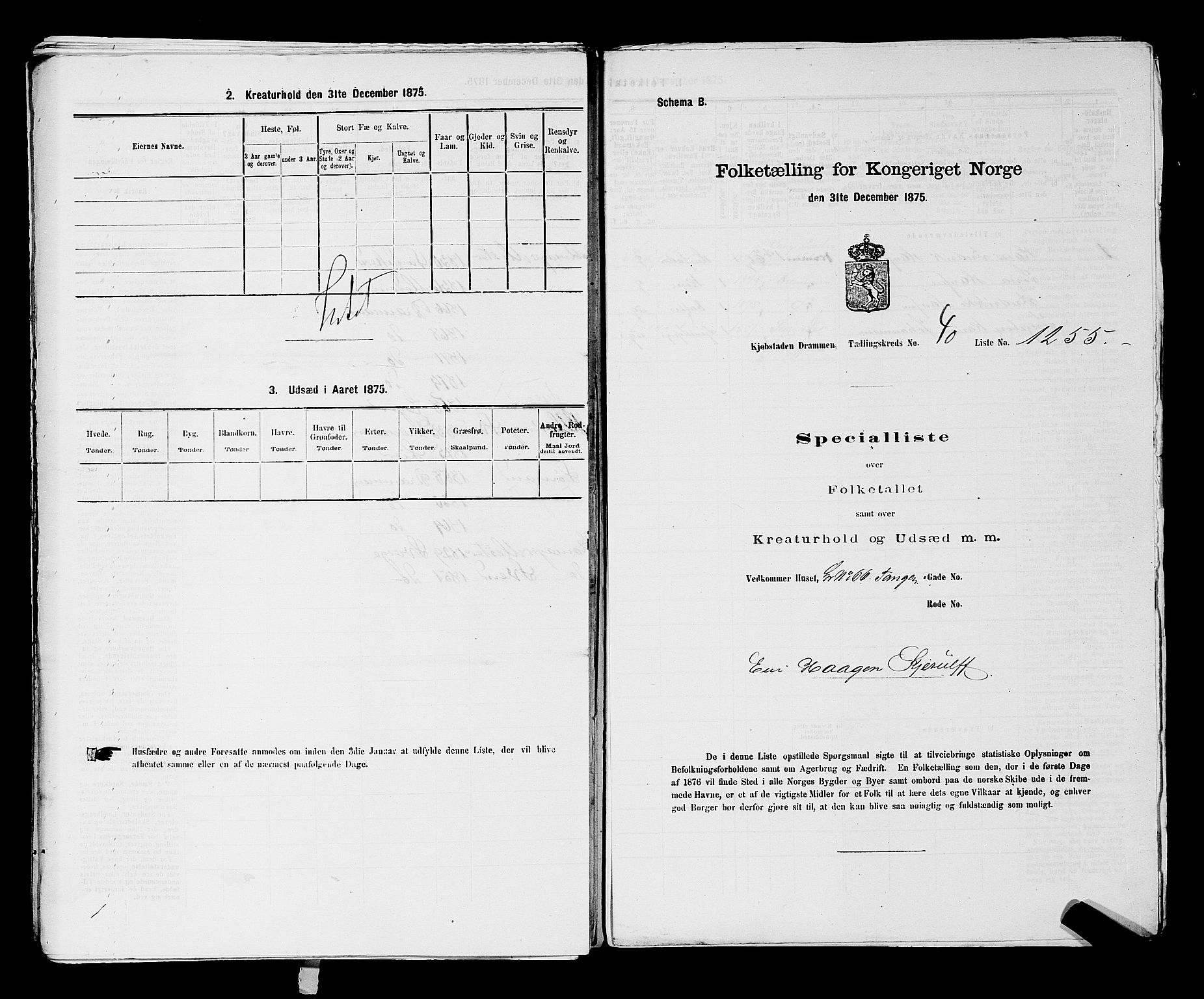 SAKO, 1875 census for 0602 Drammen, 1875, p. 3441