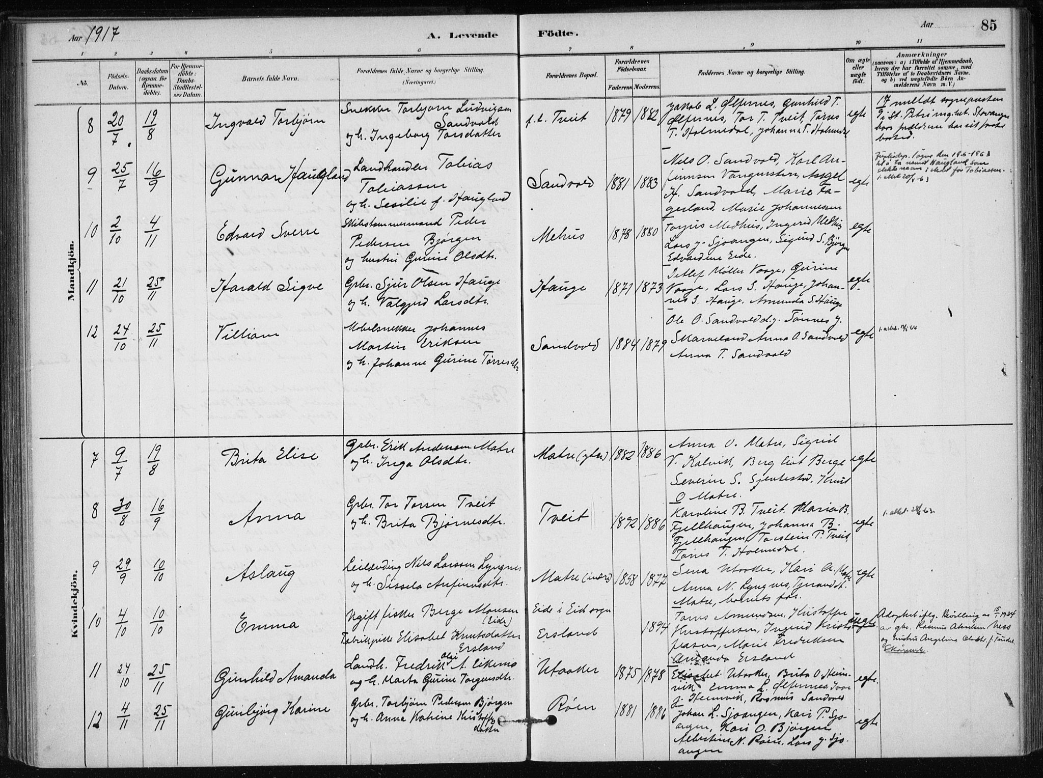 Skånevik sokneprestembete, SAB/A-77801/H/Haa: Parish register (official) no. C  1, 1879-1917, p. 85