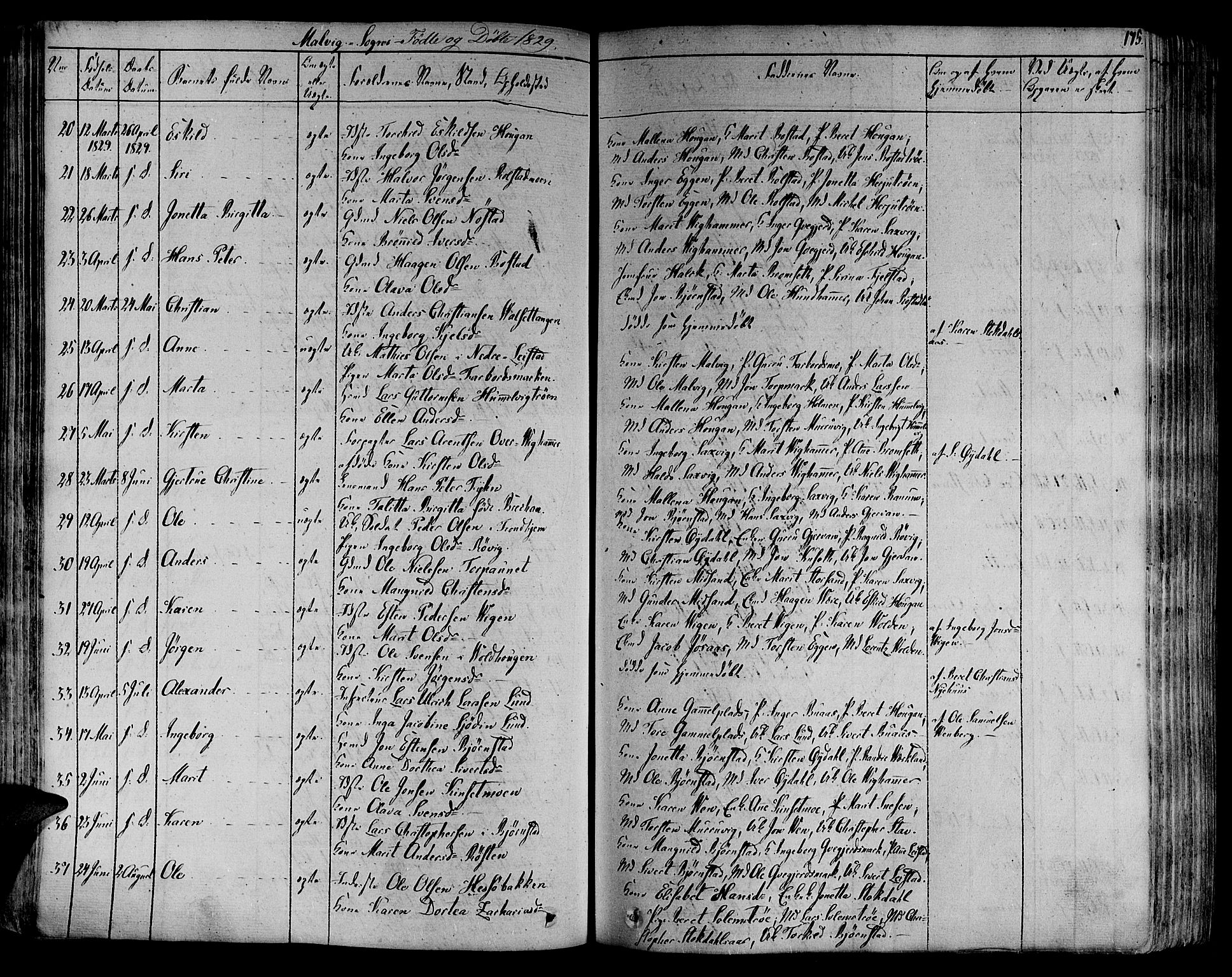 Ministerialprotokoller, klokkerbøker og fødselsregistre - Sør-Trøndelag, SAT/A-1456/606/L0288: Parish register (official) no. 606A04 /3, 1826-1840, p. 175
