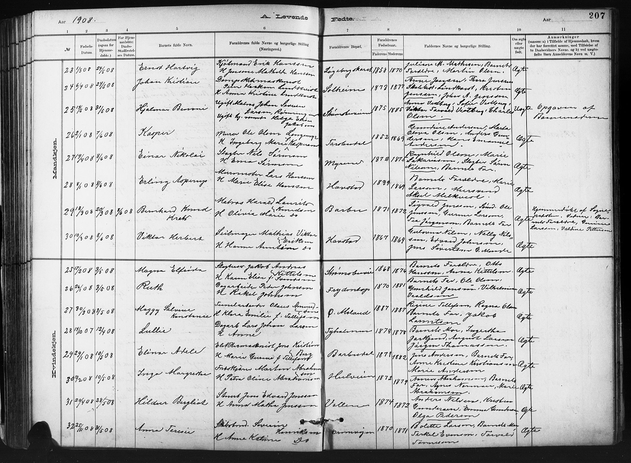 Barbu sokneprestkontor, AV/SAK-1111-0003/F/Fb/L0002: Parish register (copy) no. B 2, 1890-1922, p. 207