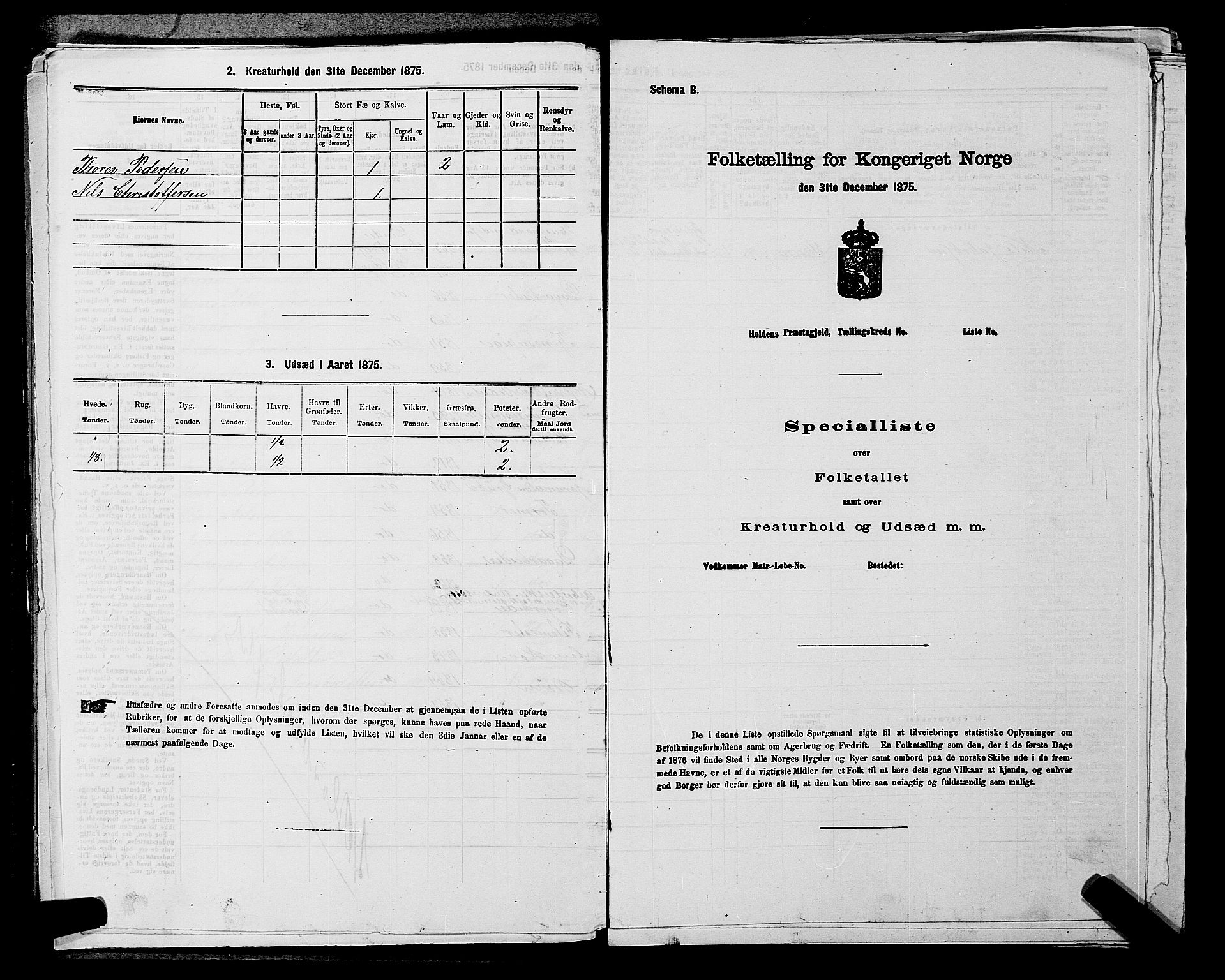 SAKO, 1875 census for 0819P Holla, 1875, p. 423