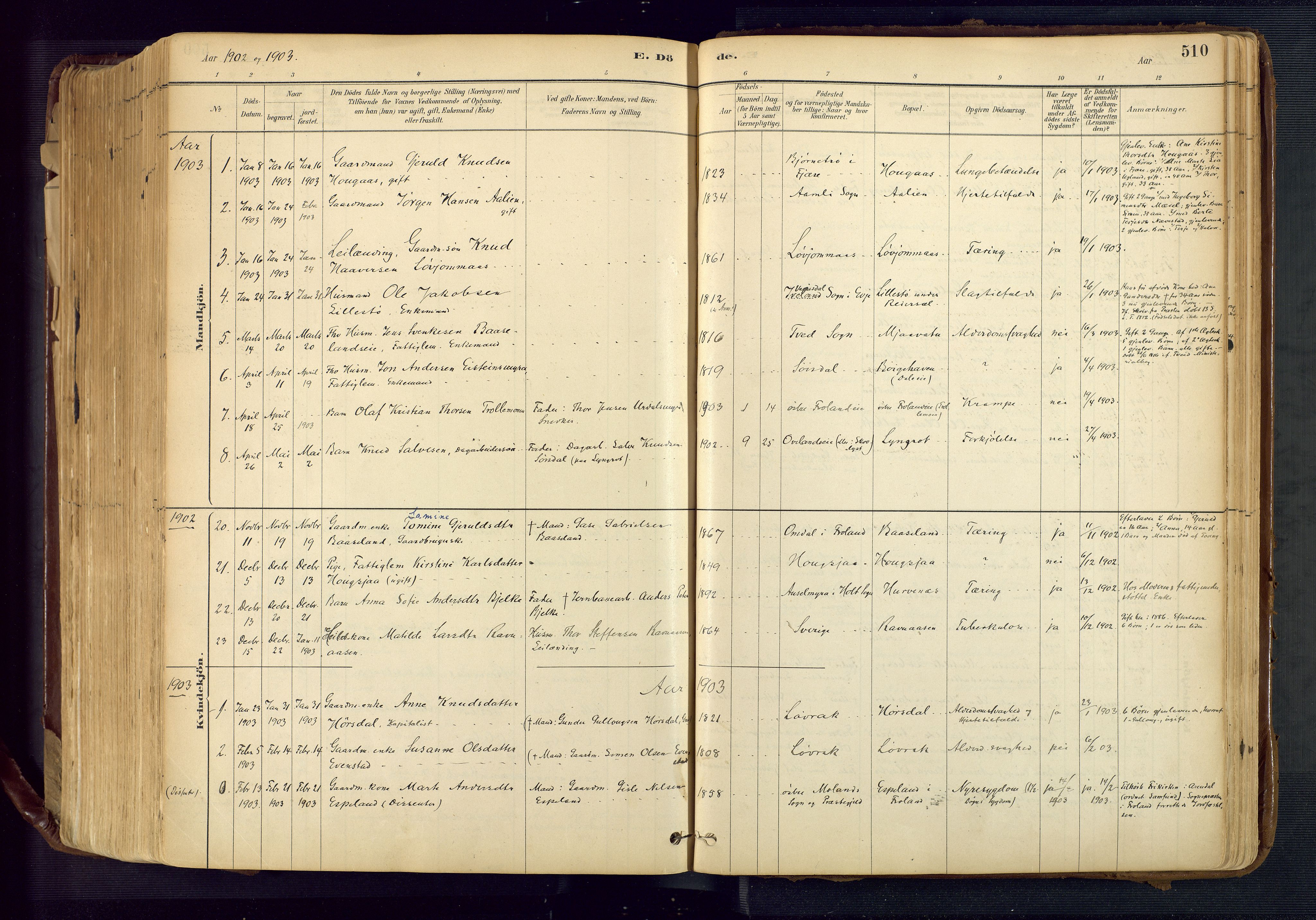 Froland sokneprestkontor, SAK/1111-0013/F/Fa/L0005: Parish register (official) no. A 5, 1882-1921, p. 510