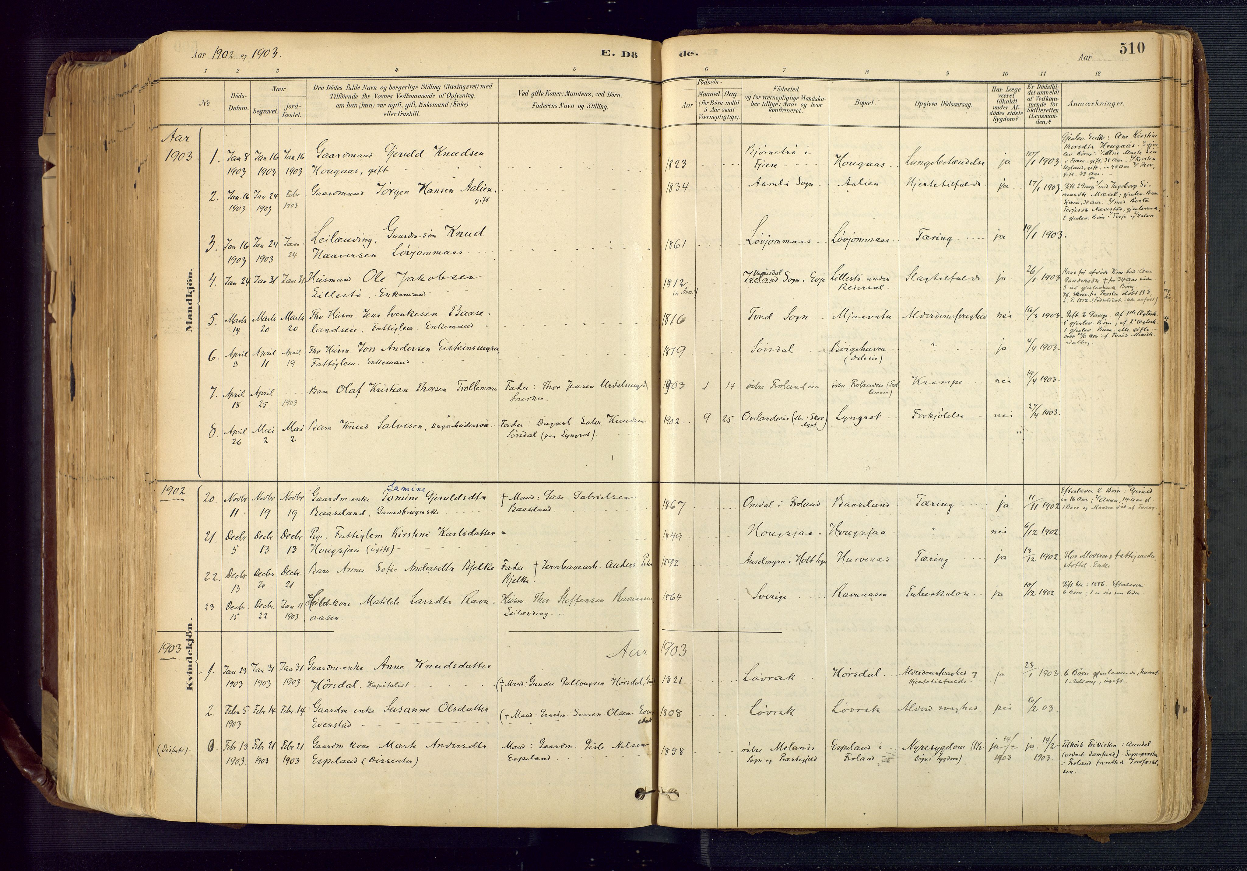 Froland sokneprestkontor, AV/SAK-1111-0013/F/Fa/L0005: Parish register (official) no. A 5, 1882-1921, p. 510