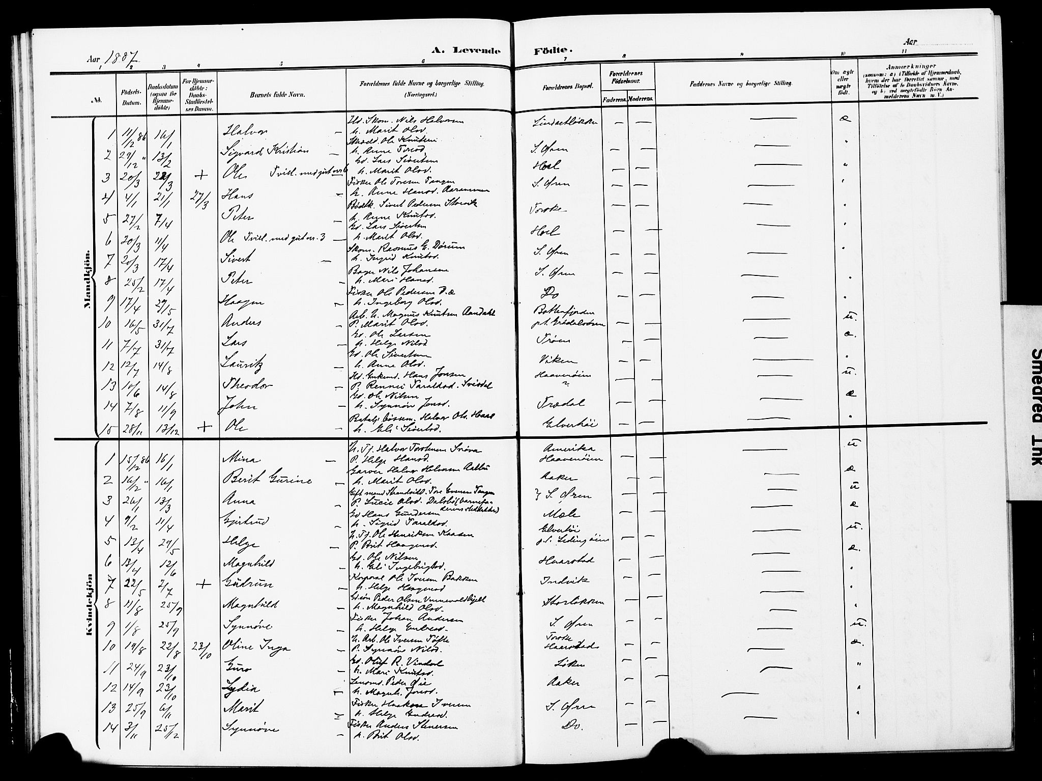 Ministerialprotokoller, klokkerbøker og fødselsregistre - Møre og Romsdal, AV/SAT-A-1454/590/L1017: Parish register (copy) no. 590C02, 1869-1931