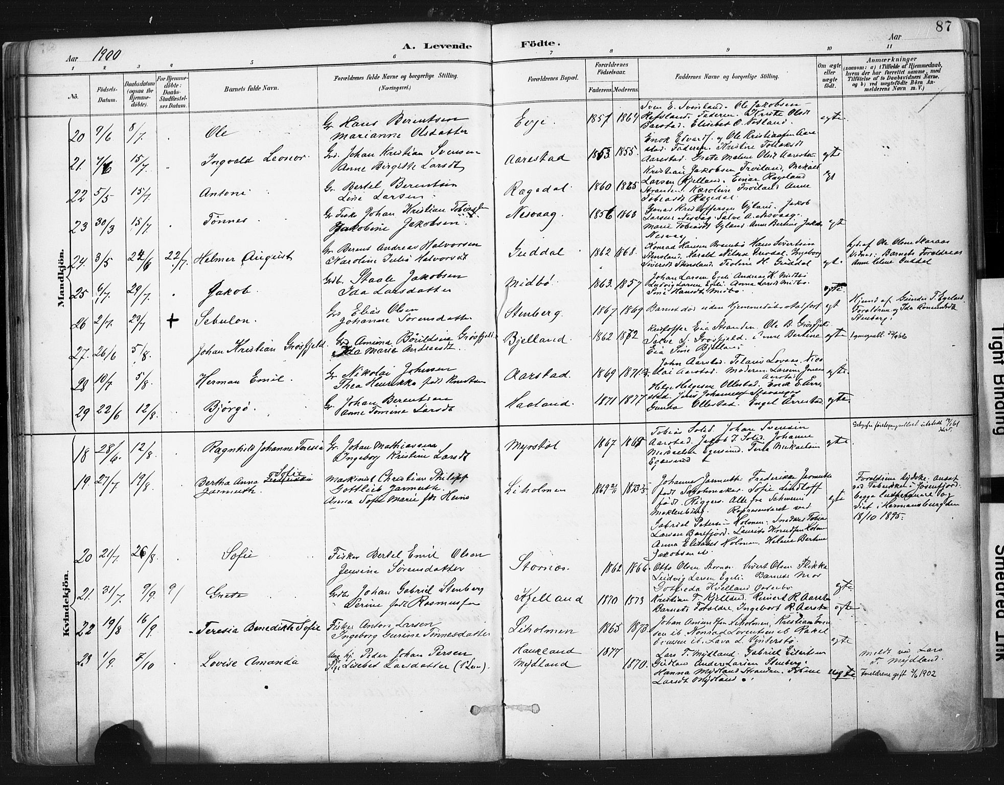 Sokndal sokneprestkontor, AV/SAST-A-101808: Parish register (official) no. A 11.1, 1887-1905, p. 87