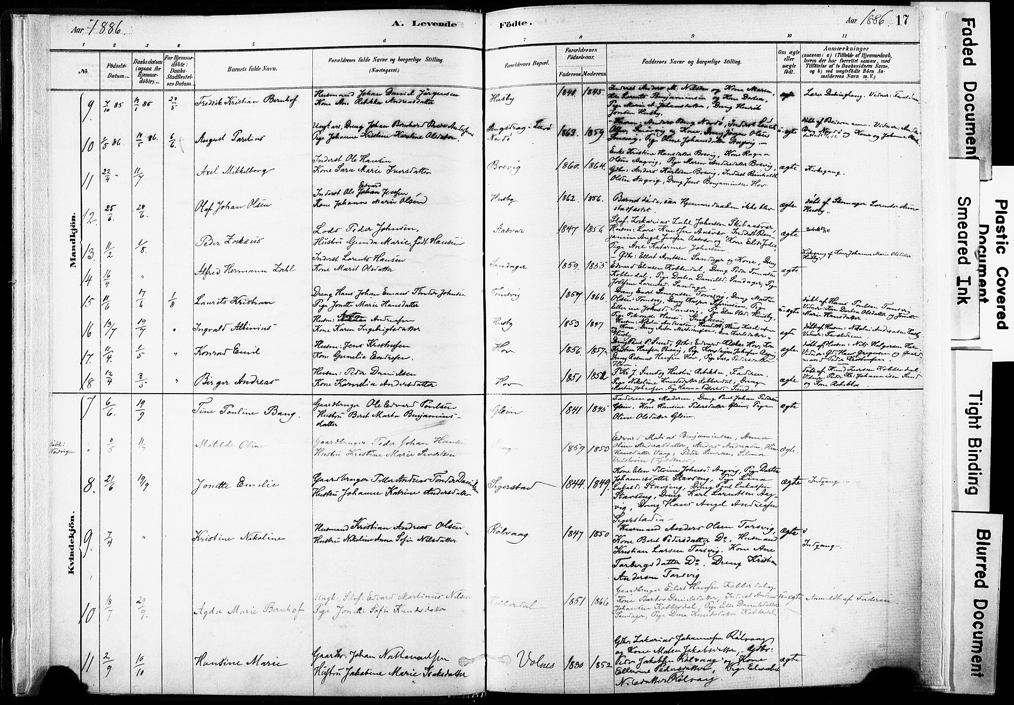 Ministerialprotokoller, klokkerbøker og fødselsregistre - Nordland, AV/SAT-A-1459/835/L0525: Parish register (official) no. 835A03I, 1881-1910, p. 17