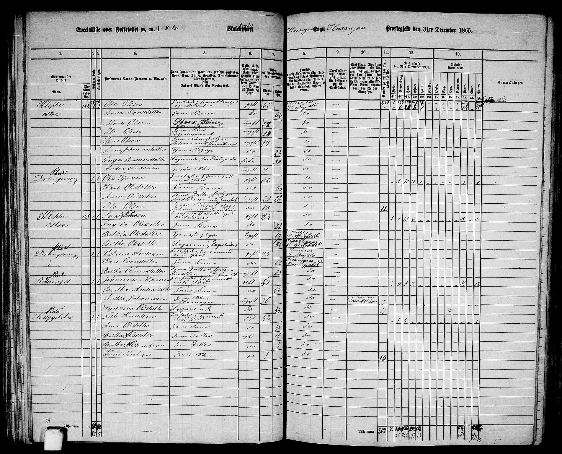 RA, 1865 census for Hosanger, 1865, p. 68