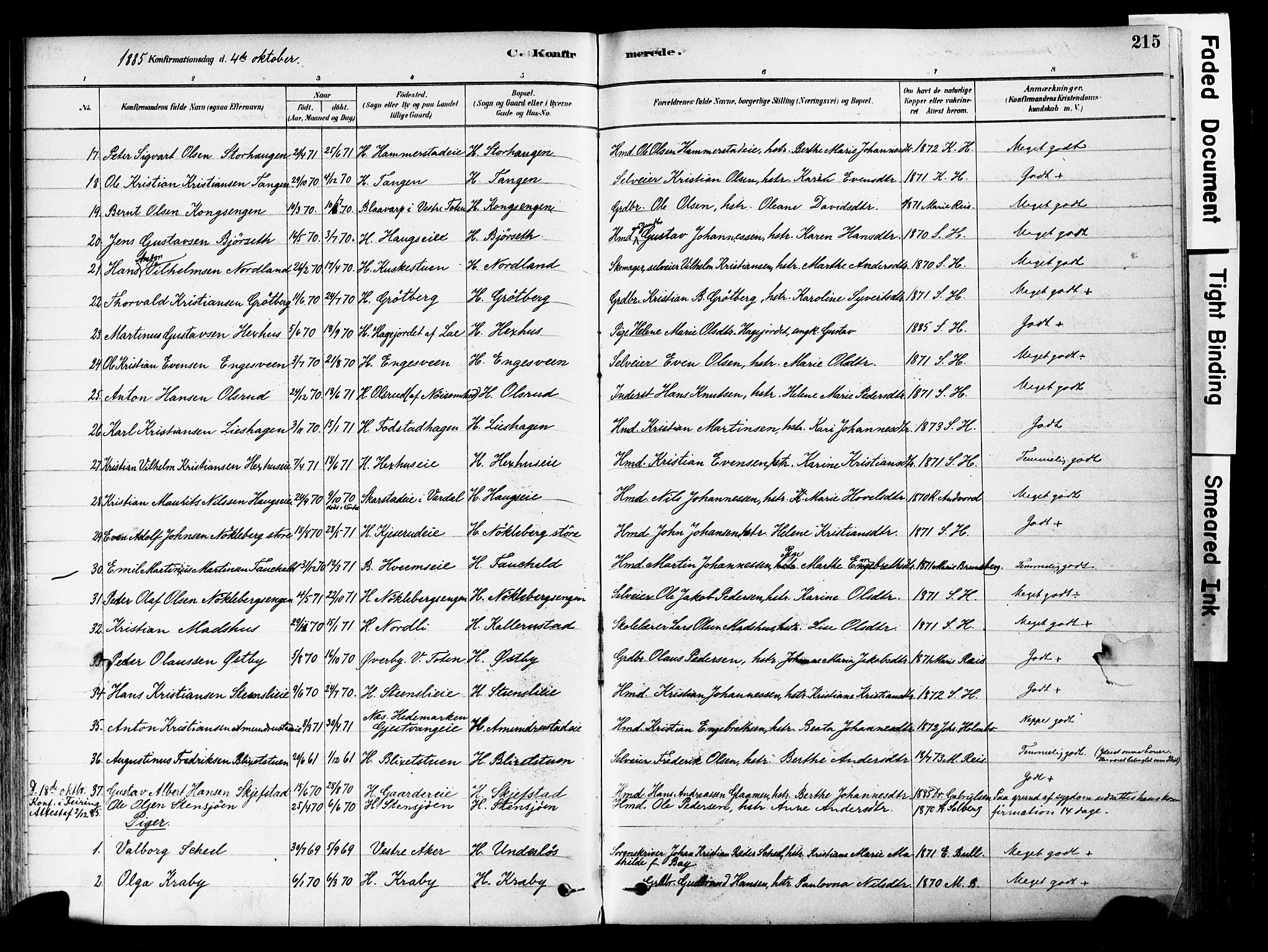 Østre Toten prestekontor, AV/SAH-PREST-104/H/Ha/Haa/L0006: Parish register (official) no. 6 /1, 1878-1896, p. 215