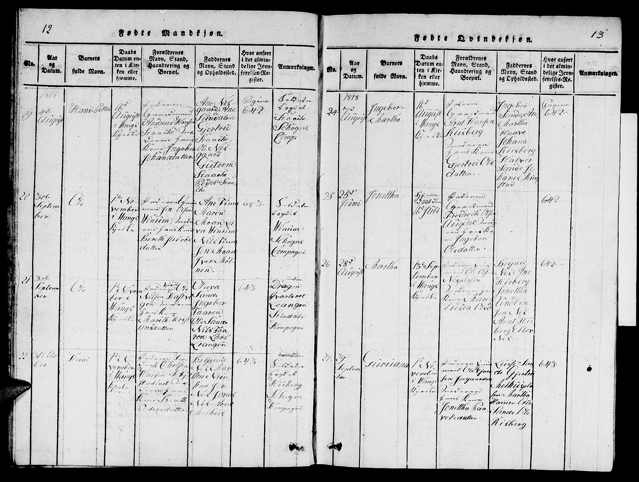 Ministerialprotokoller, klokkerbøker og fødselsregistre - Nord-Trøndelag, AV/SAT-A-1458/714/L0132: Parish register (copy) no. 714C01, 1817-1824, p. 12-13