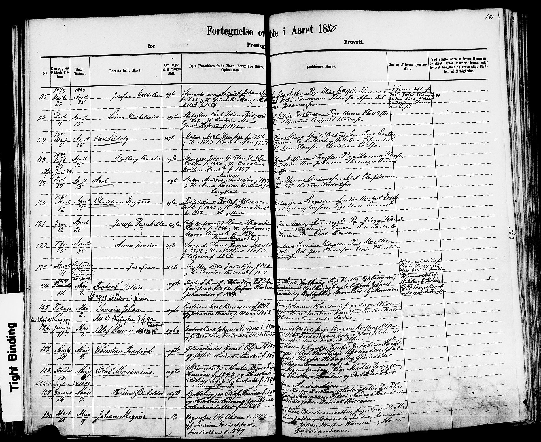 Larvik kirkebøker, AV/SAKO-A-352/F/Fa/L0006: Parish register (official) no. I 6, 1871-1883, p. 191